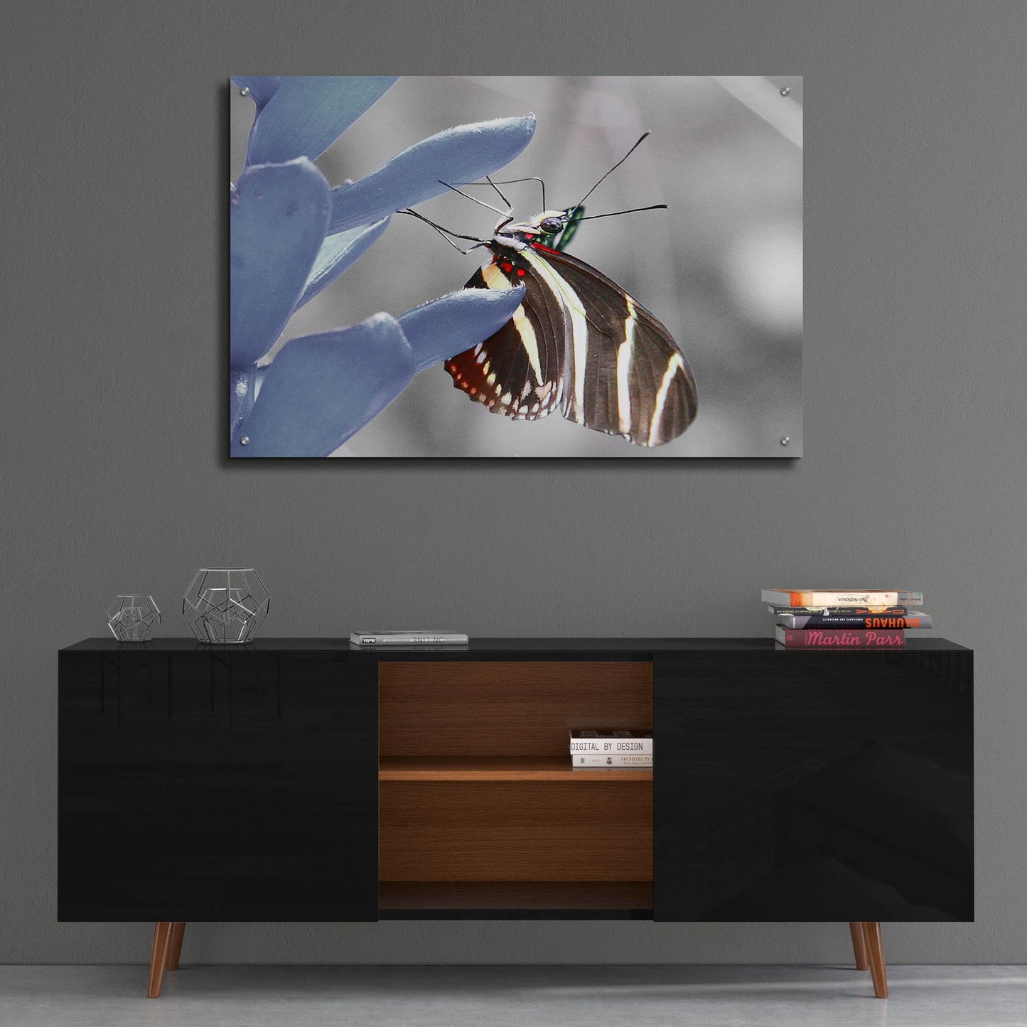 Epic Art 'Butterfly' by Dana Brett Munach, Acrylic Glass Wall Art,36x24