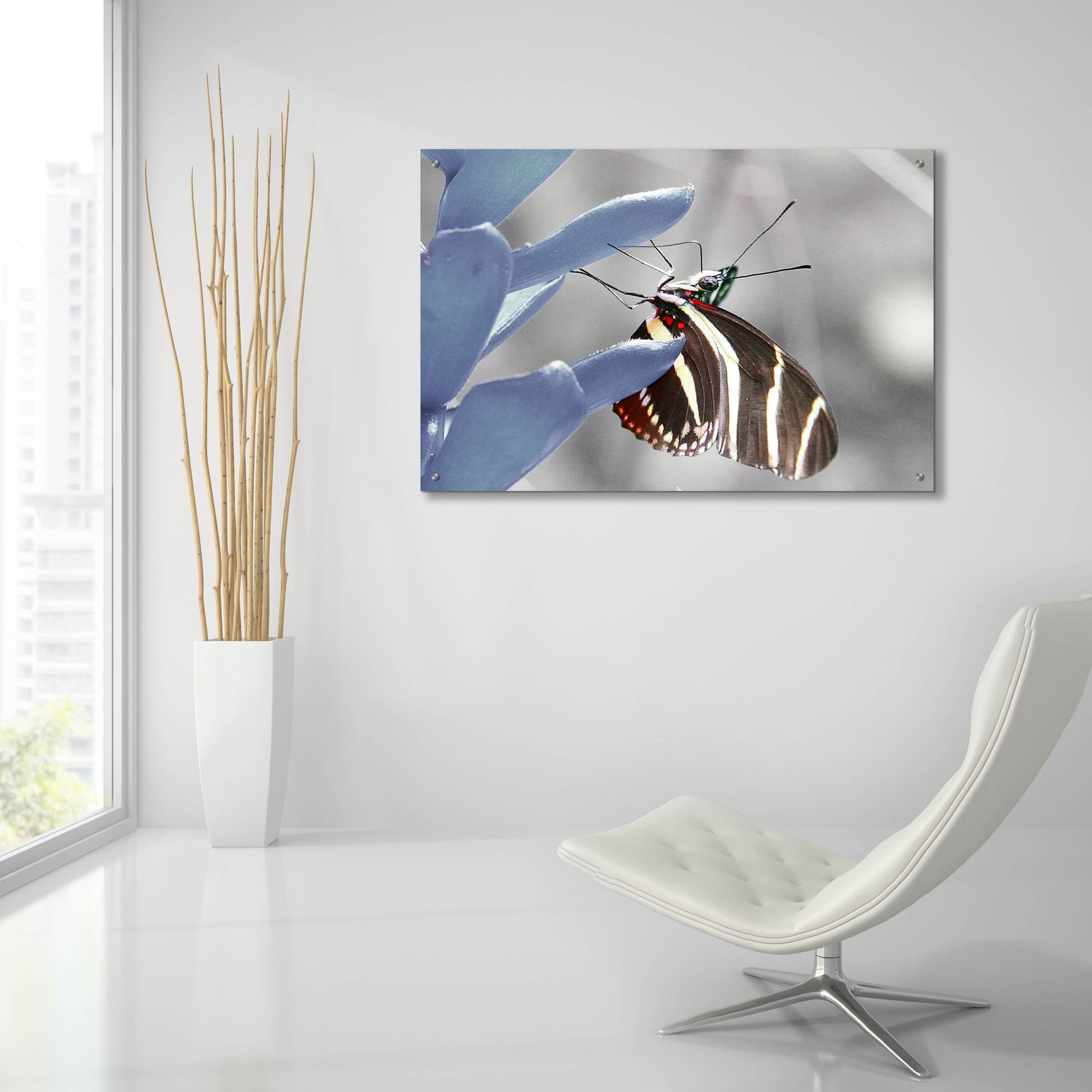 Epic Art 'Butterfly' by Dana Brett Munach, Acrylic Glass Wall Art,36x24