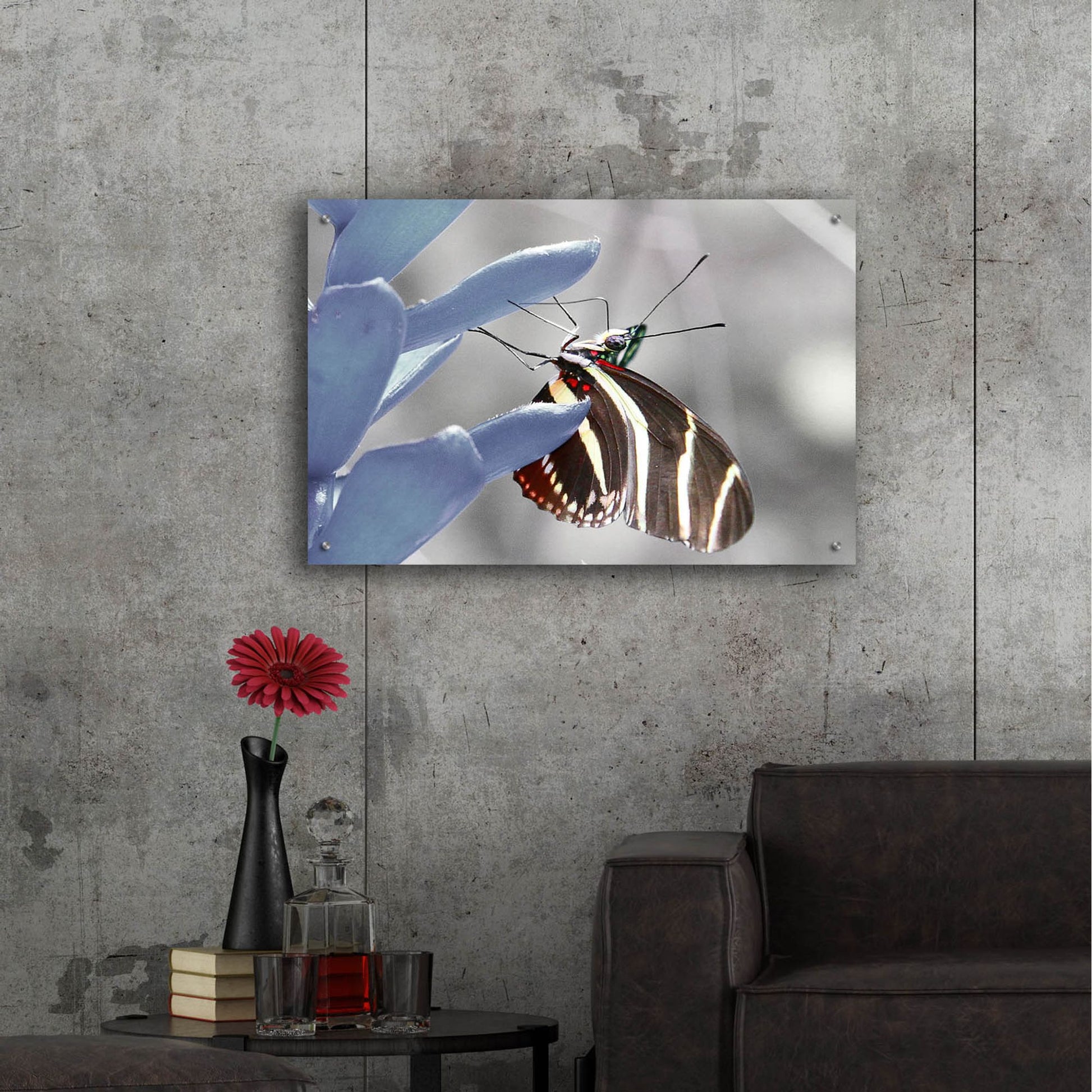 Epic Art 'Butterfly' by Dana Brett Munach, Acrylic Glass Wall Art,36x24