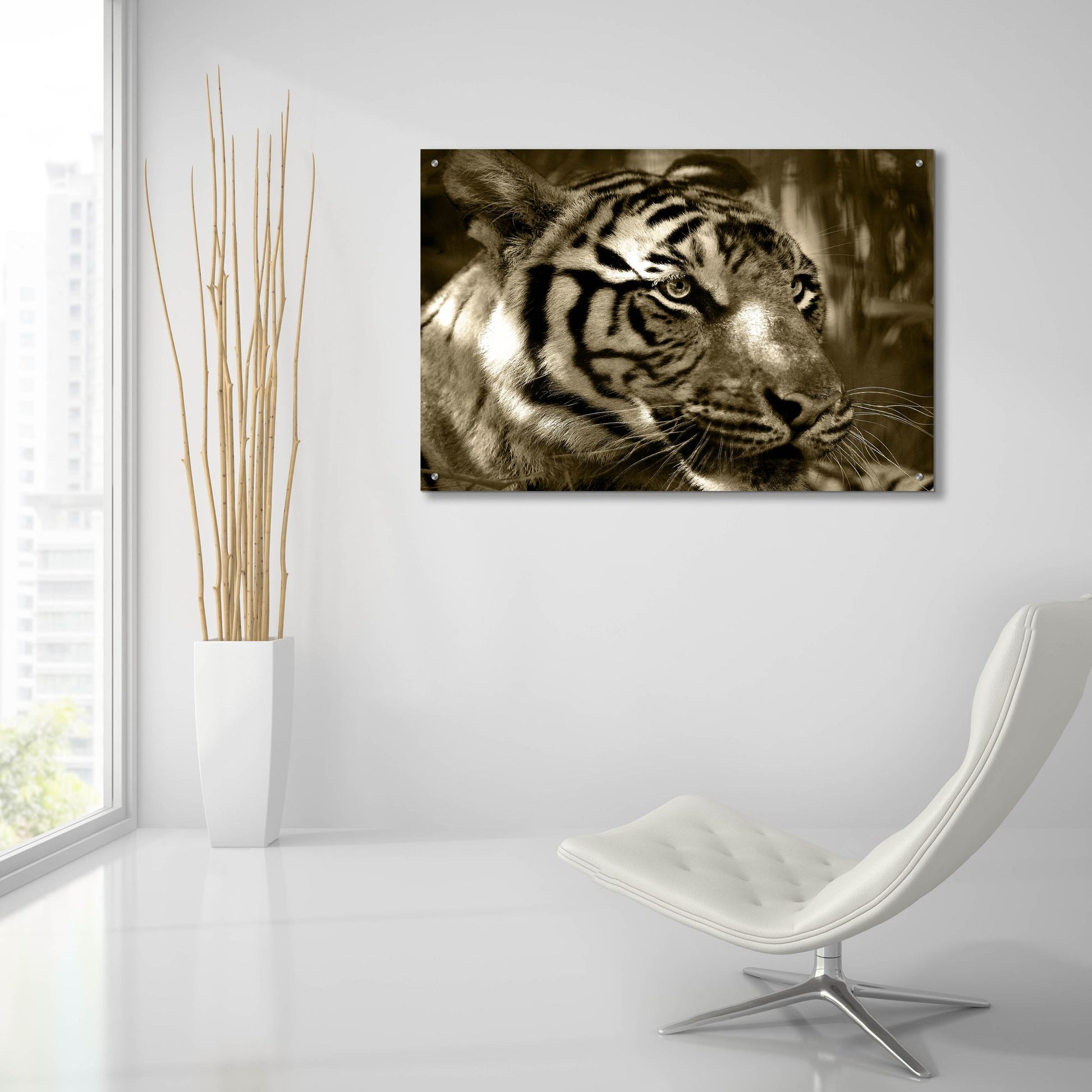 Epic Art 'Focus' by Dana Brett Munach, Acrylic Glass Wall Art,36x24