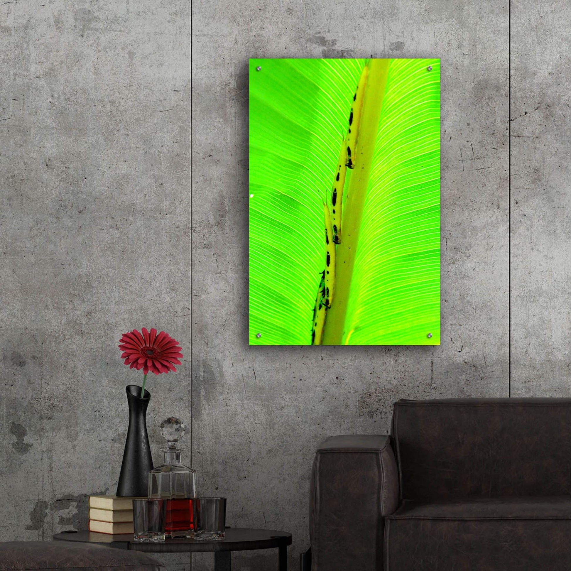 Epic Art 'Following The Leader' by Dana Brett Munach, Acrylic Glass Wall Art,24x36