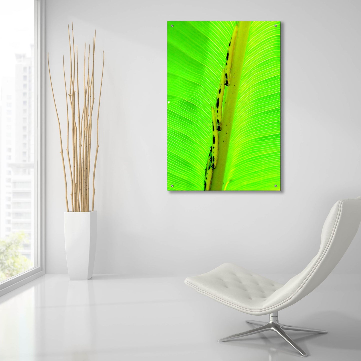 Epic Art 'Following The Leader' by Dana Brett Munach, Acrylic Glass Wall Art,24x36