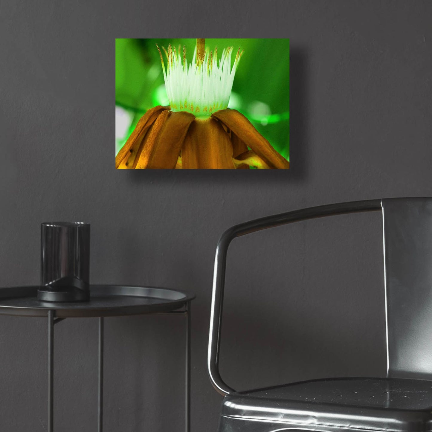 Epic Art 'Golden Water Lilly' by Dana Brett Munach, Acrylic Glass Wall Art,16x12