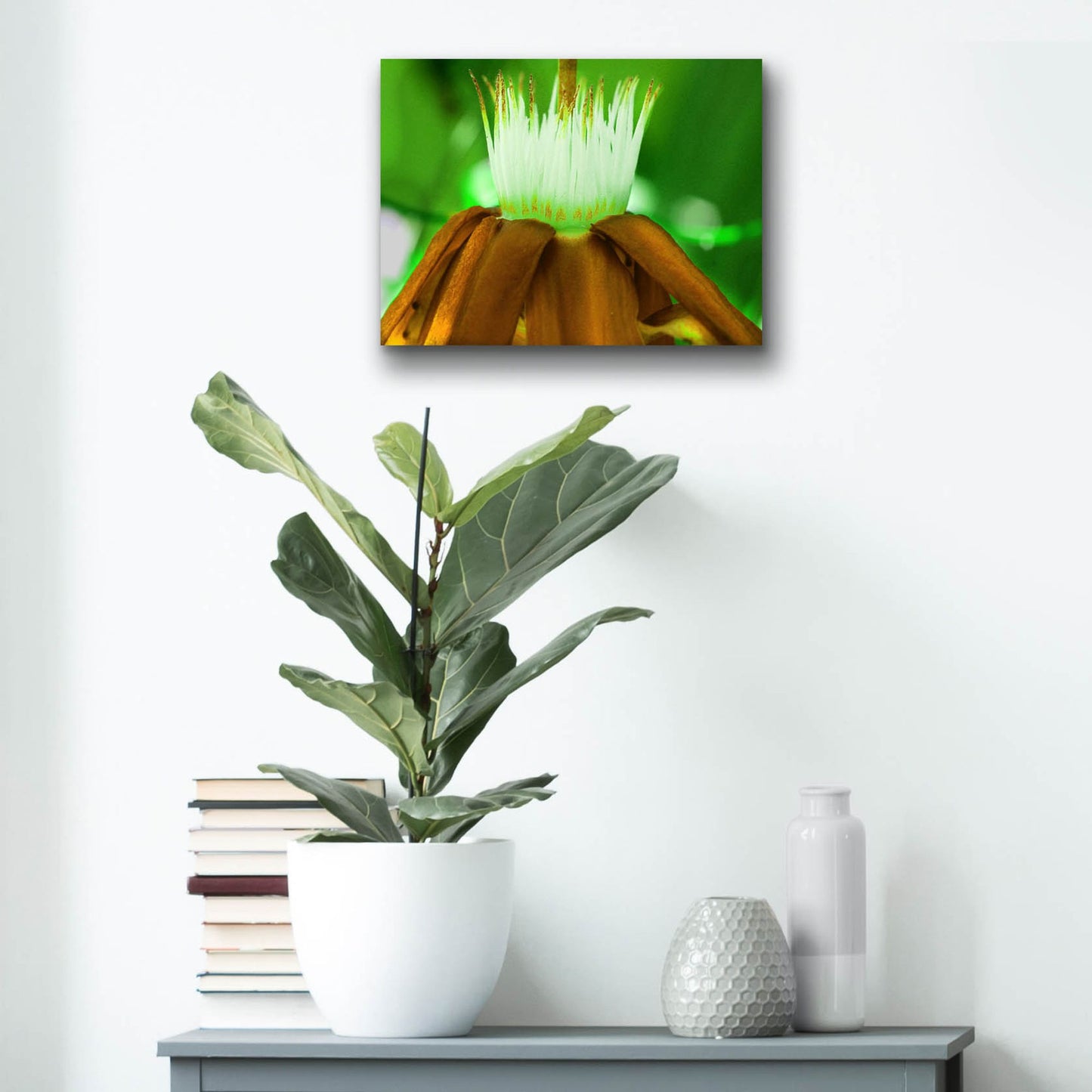 Epic Art 'Golden Water Lilly' by Dana Brett Munach, Acrylic Glass Wall Art,16x12