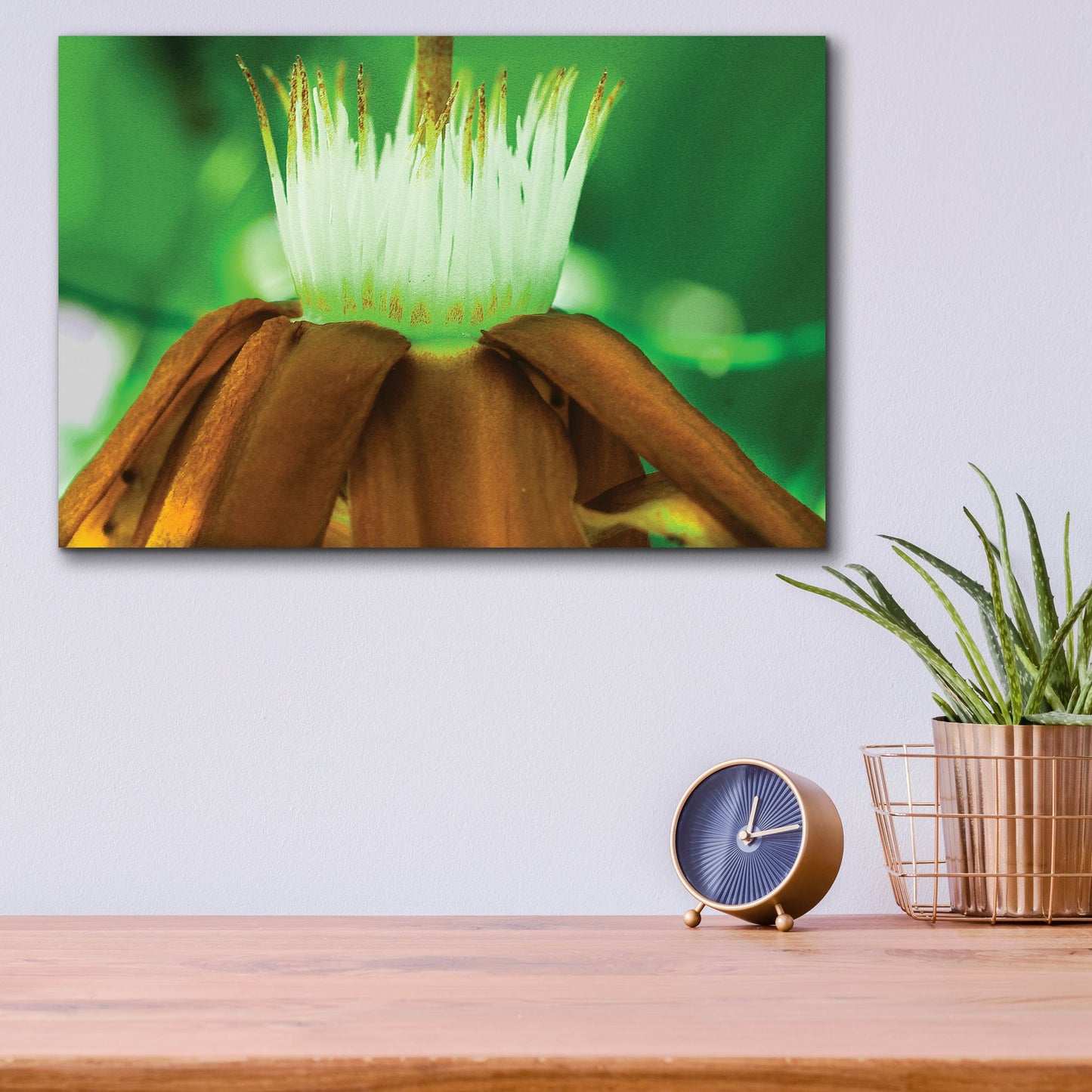 Epic Art 'Golden Water Lilly' by Dana Brett Munach, Acrylic Glass Wall Art,16x12