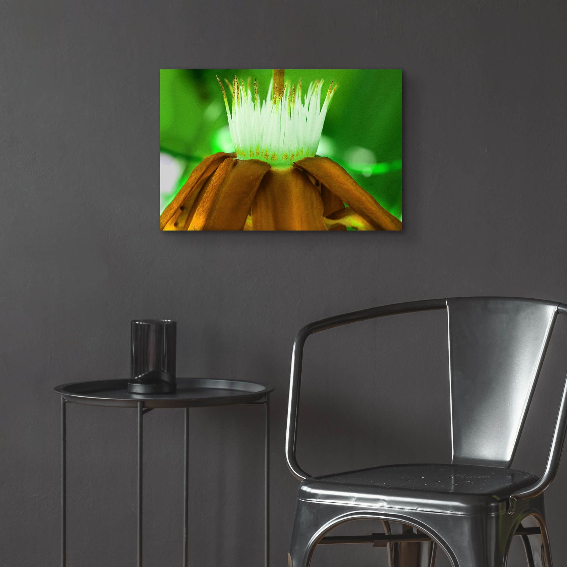 Epic Art 'Golden Water Lilly' by Dana Brett Munach, Acrylic Glass Wall Art,24x16