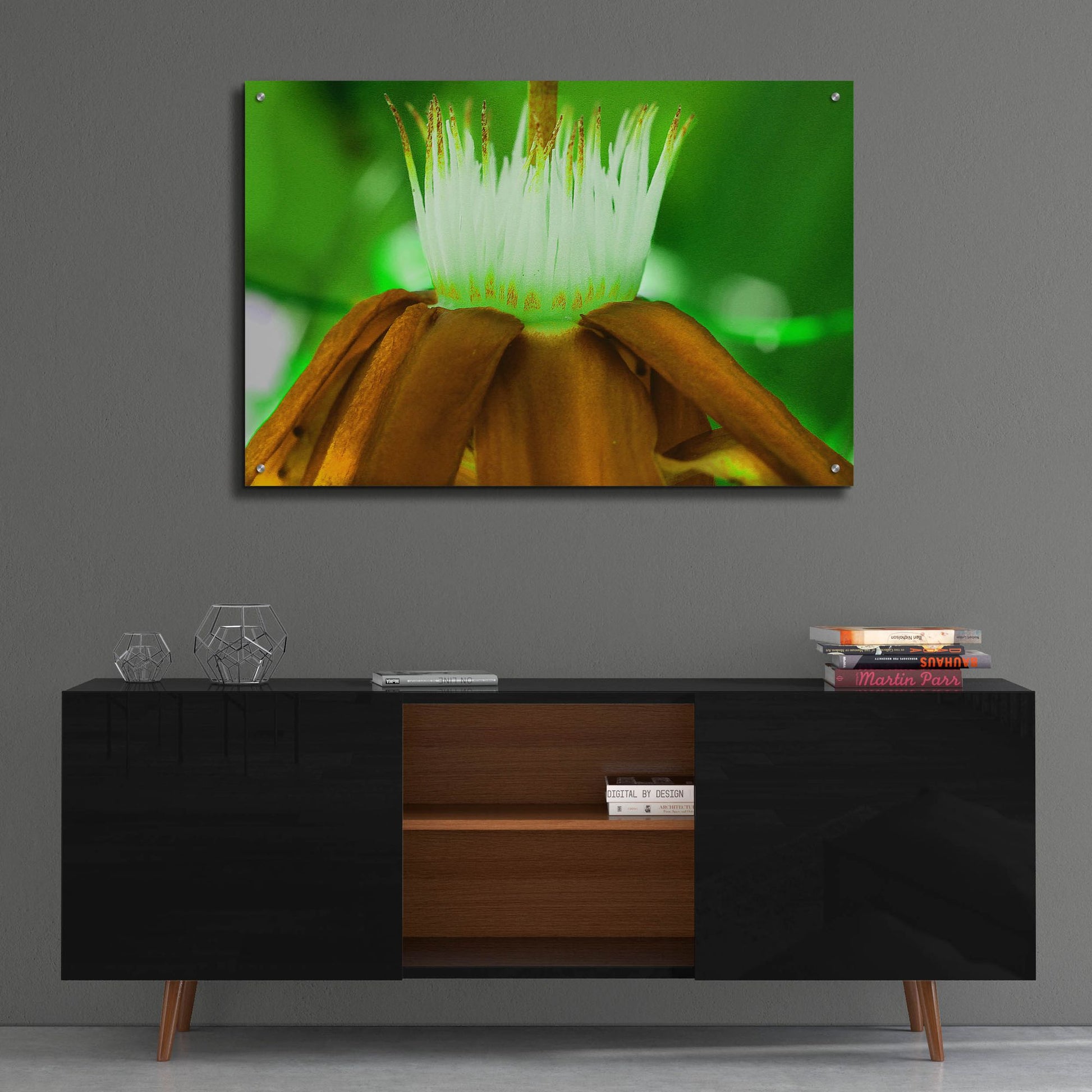 Epic Art 'Golden Water Lilly' by Dana Brett Munach, Acrylic Glass Wall Art,36x24