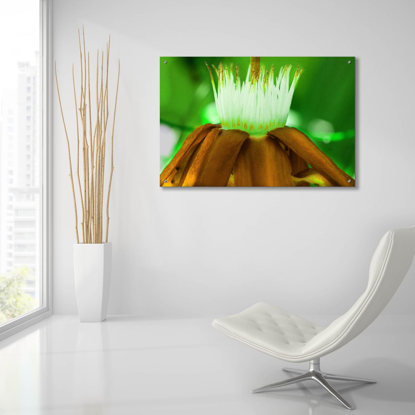 Epic Art 'Golden Water Lilly' by Dana Brett Munach, Acrylic Glass Wall Art,36x24