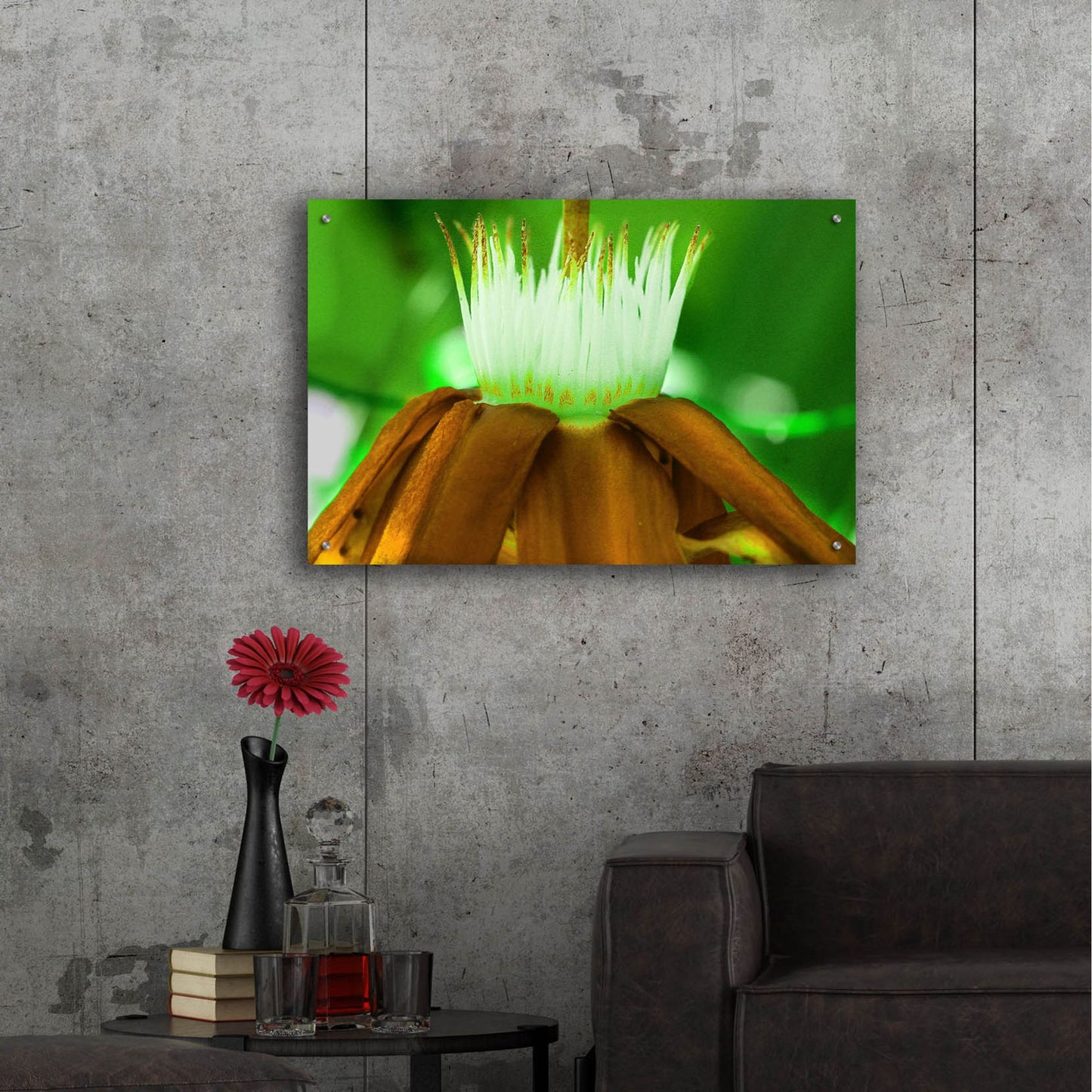 Epic Art 'Golden Water Lilly' by Dana Brett Munach, Acrylic Glass Wall Art,36x24