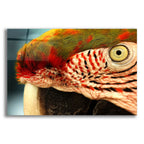 Epic Art 'Polly' by Dana Brett Munach, Acrylic Glass Wall Art