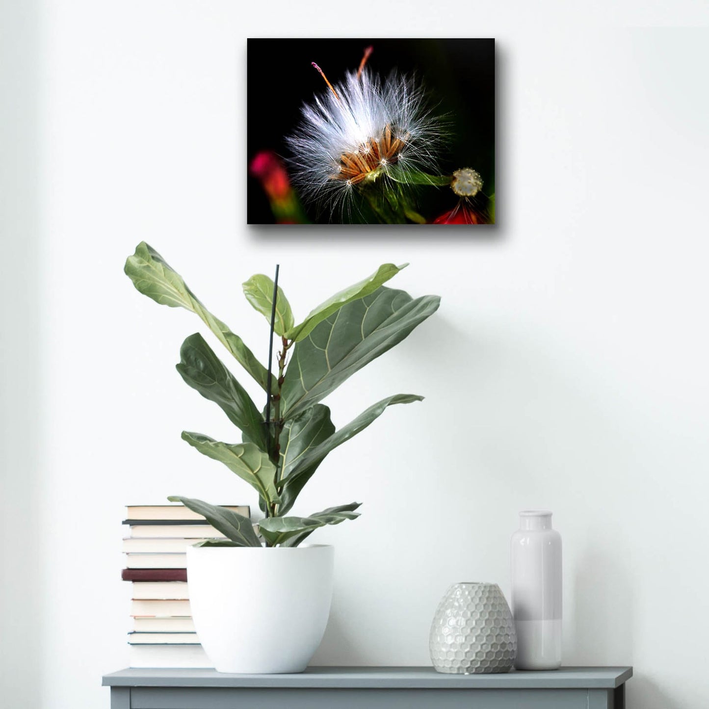 Epic Art 'Snow Flower' by Dana Brett Munach, Acrylic Glass Wall Art,16x12