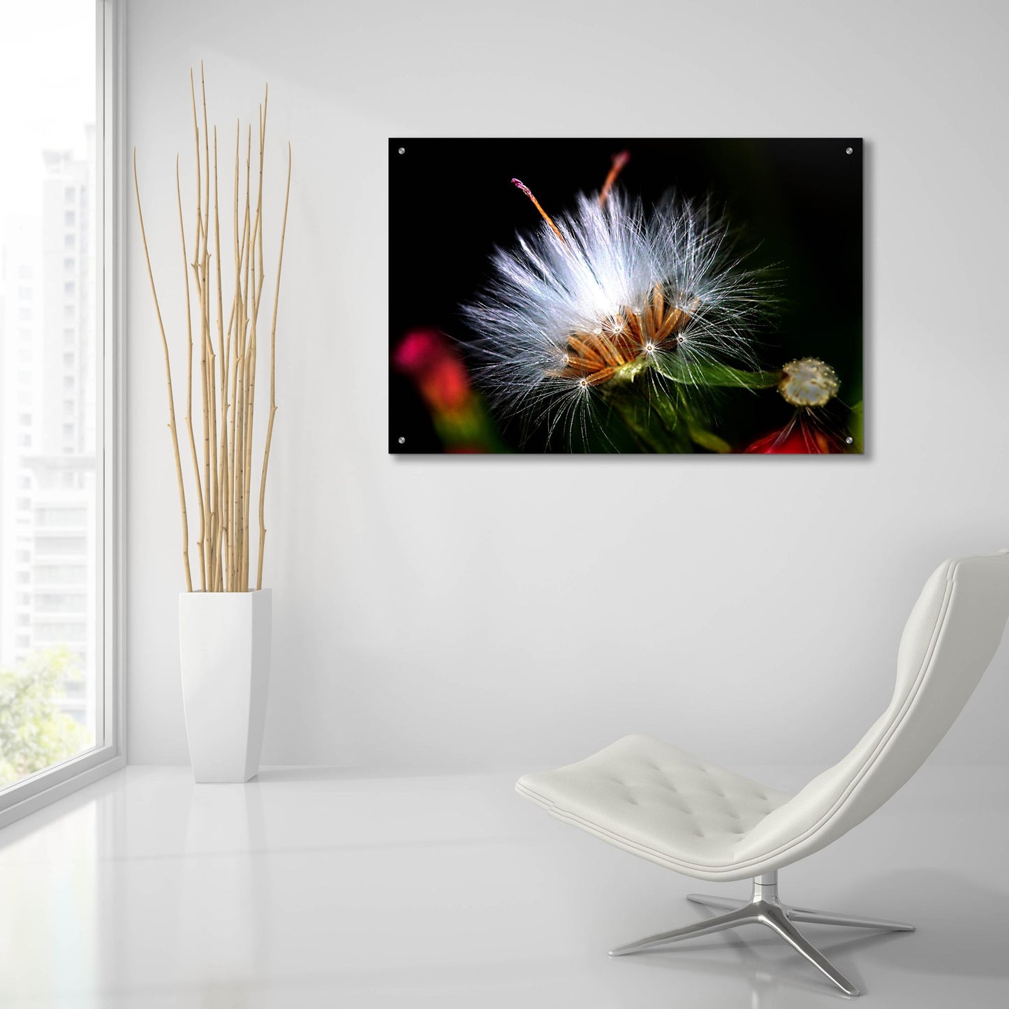 Epic Art 'Snow Flower' by Dana Brett Munach, Acrylic Glass Wall Art,36x24