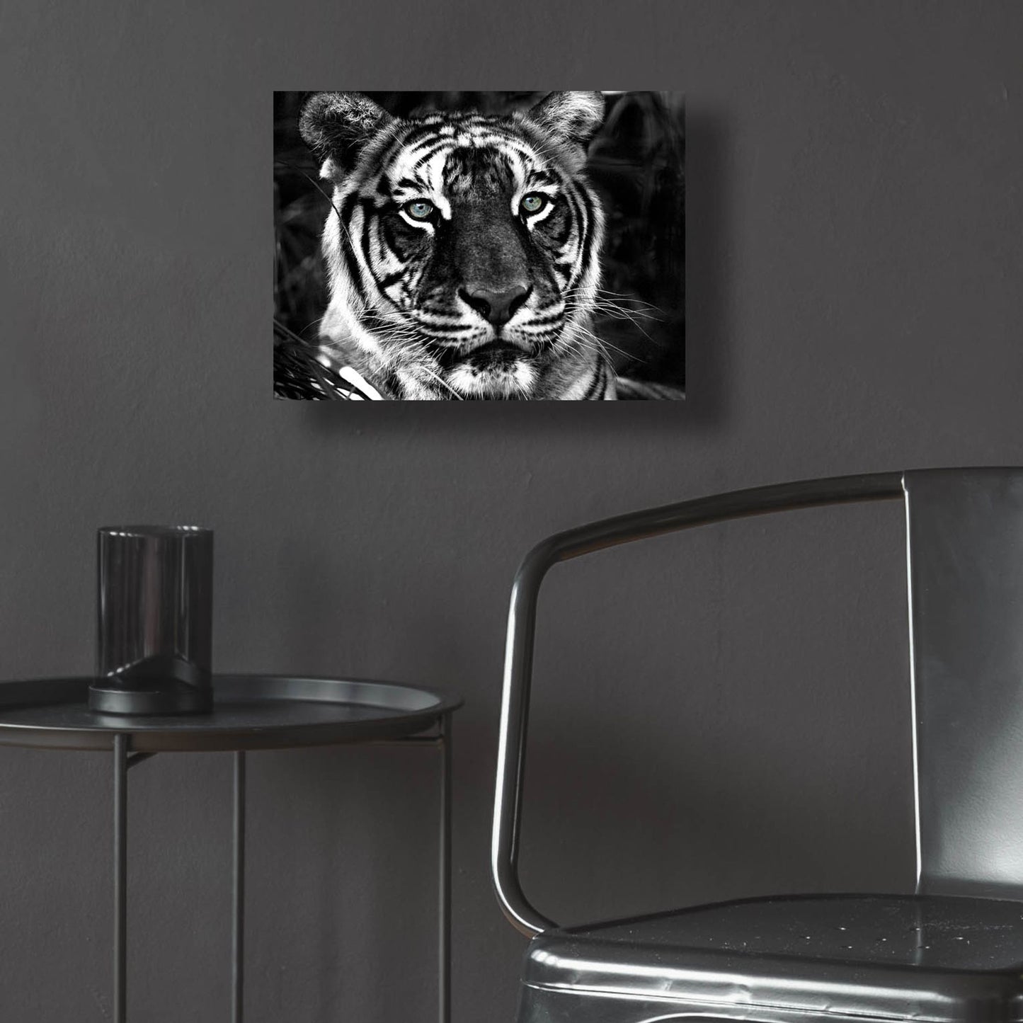 Epic Art 'The Observer Black & White' by Dana Brett Munach, Acrylic Glass Wall Art,16x12