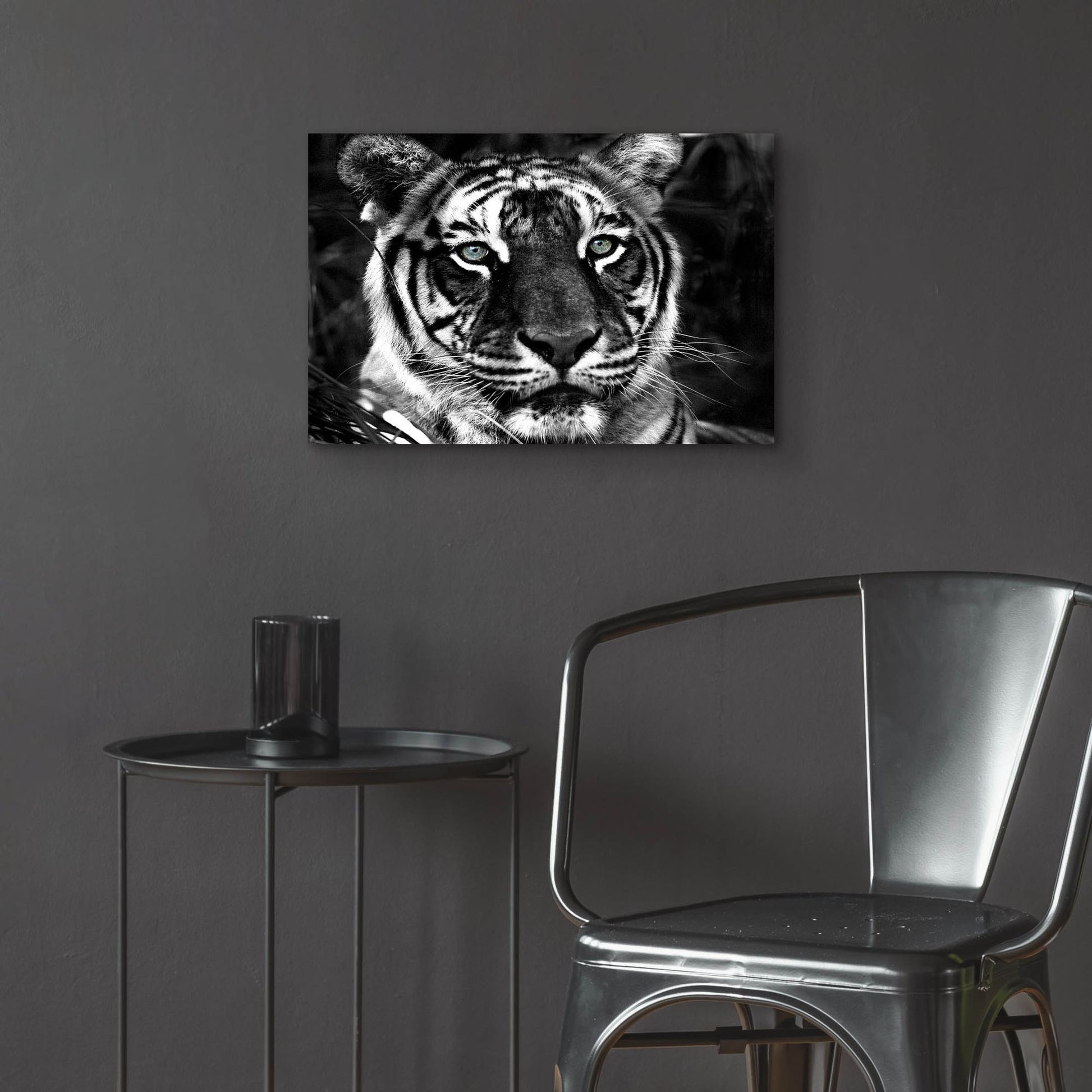 Epic Art 'The Observer Black & White' by Dana Brett Munach, Acrylic Glass Wall Art,24x16