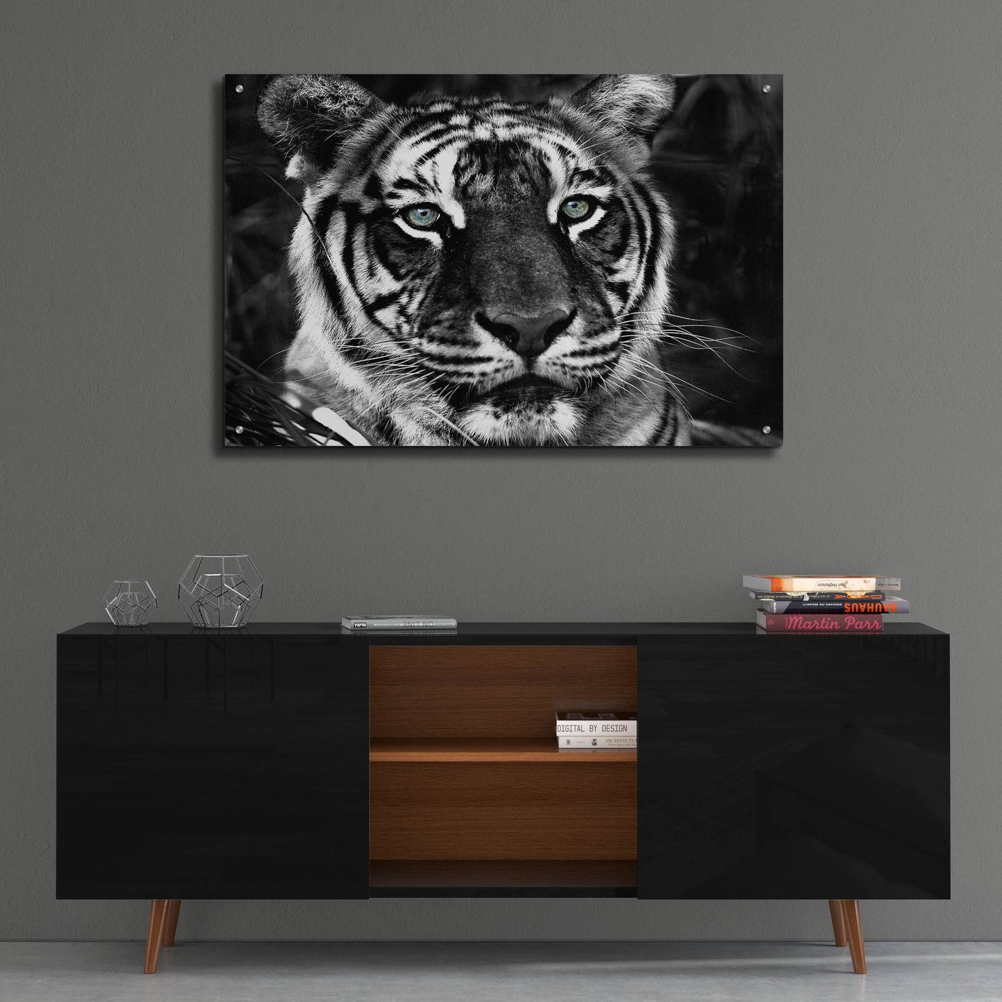 Epic Art 'The Observer Black & White' by Dana Brett Munach, Acrylic Glass Wall Art,36x24