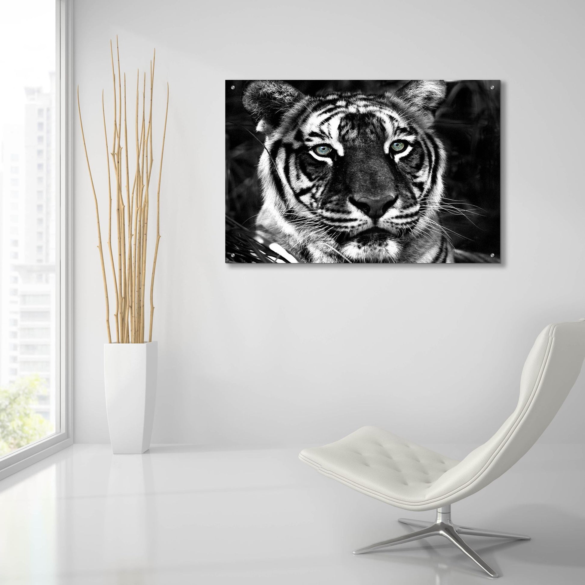 Epic Art 'The Observer Black & White' by Dana Brett Munach, Acrylic Glass Wall Art,36x24