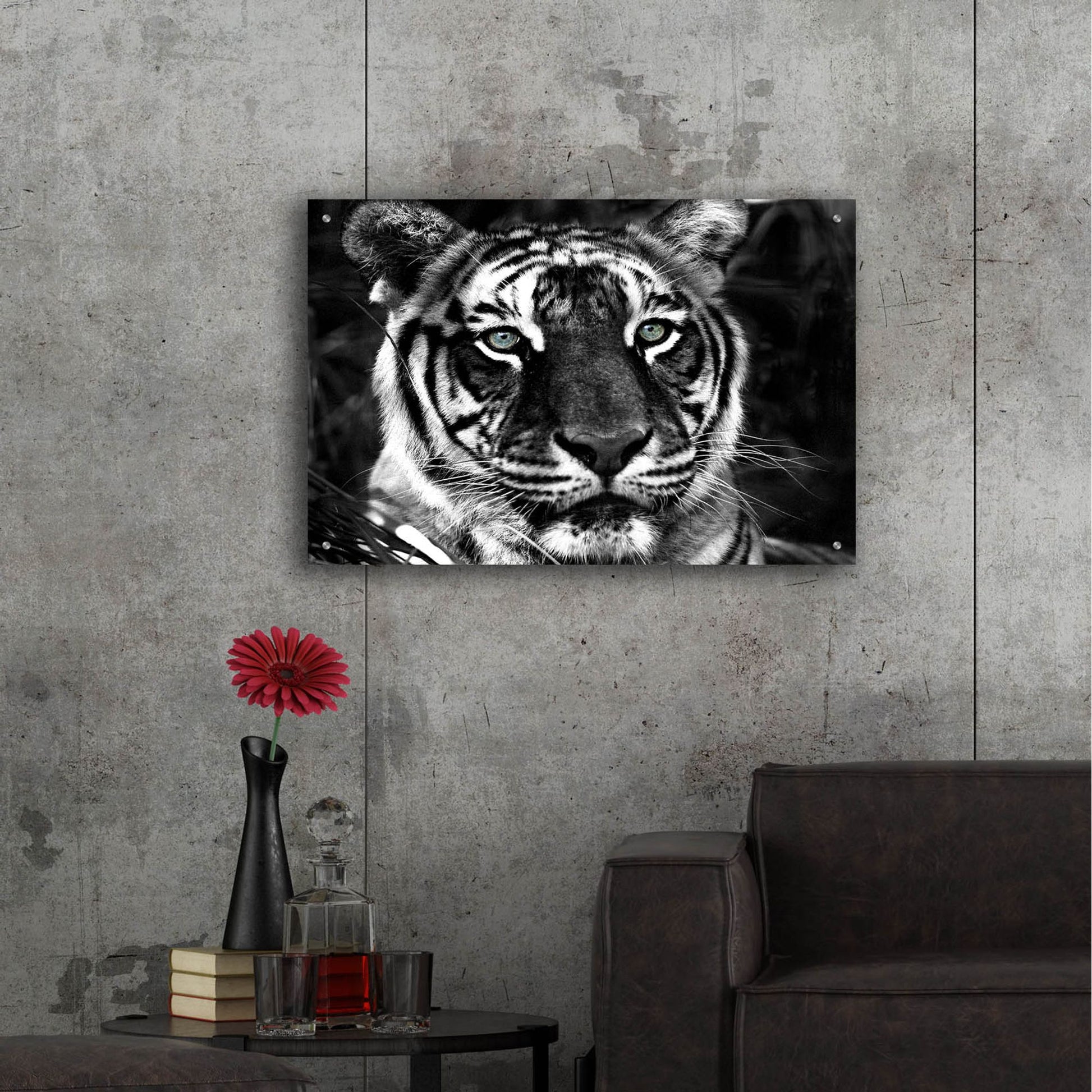 Epic Art 'The Observer Black & White' by Dana Brett Munach, Acrylic Glass Wall Art,36x24