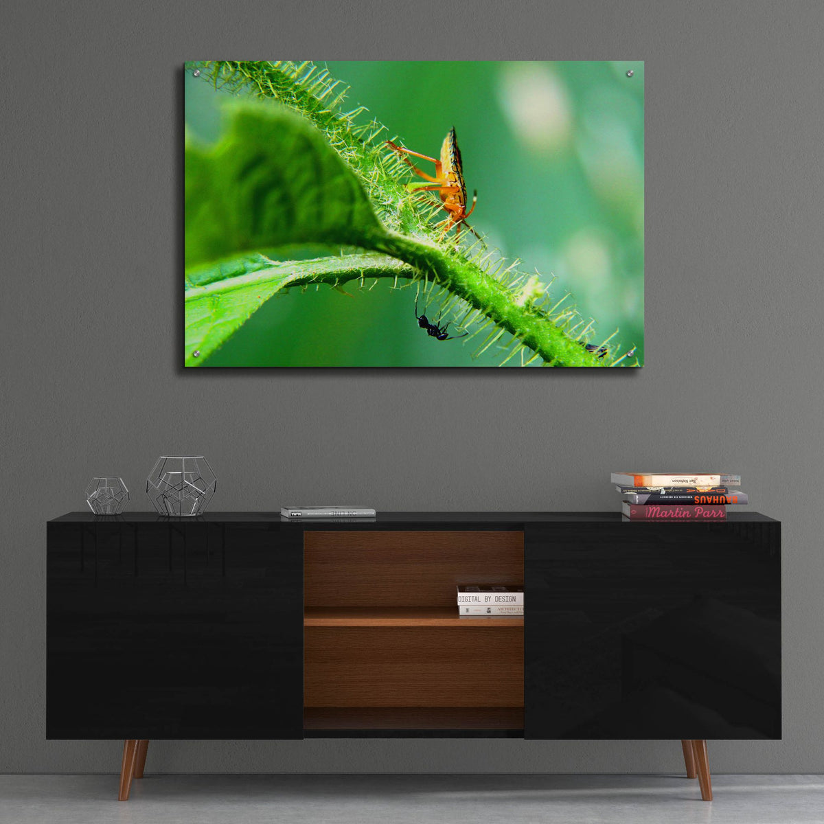 Epic Art 'Two Lane Highway' by Dana Brett Munach, Acrylic Glass Wall Art,36x24