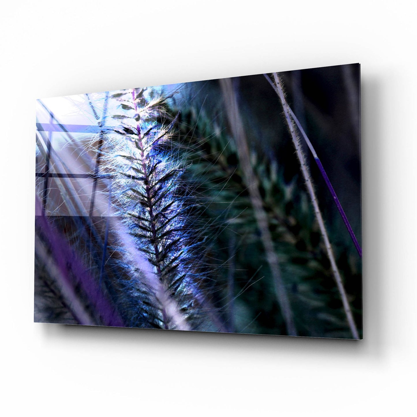 Epic Art 'Willow' by Dana Brett Munach, Acrylic Glass Wall Art,16x12