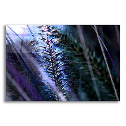 Epic Art 'Willow' by Dana Brett Munach, Acrylic Glass Wall Art