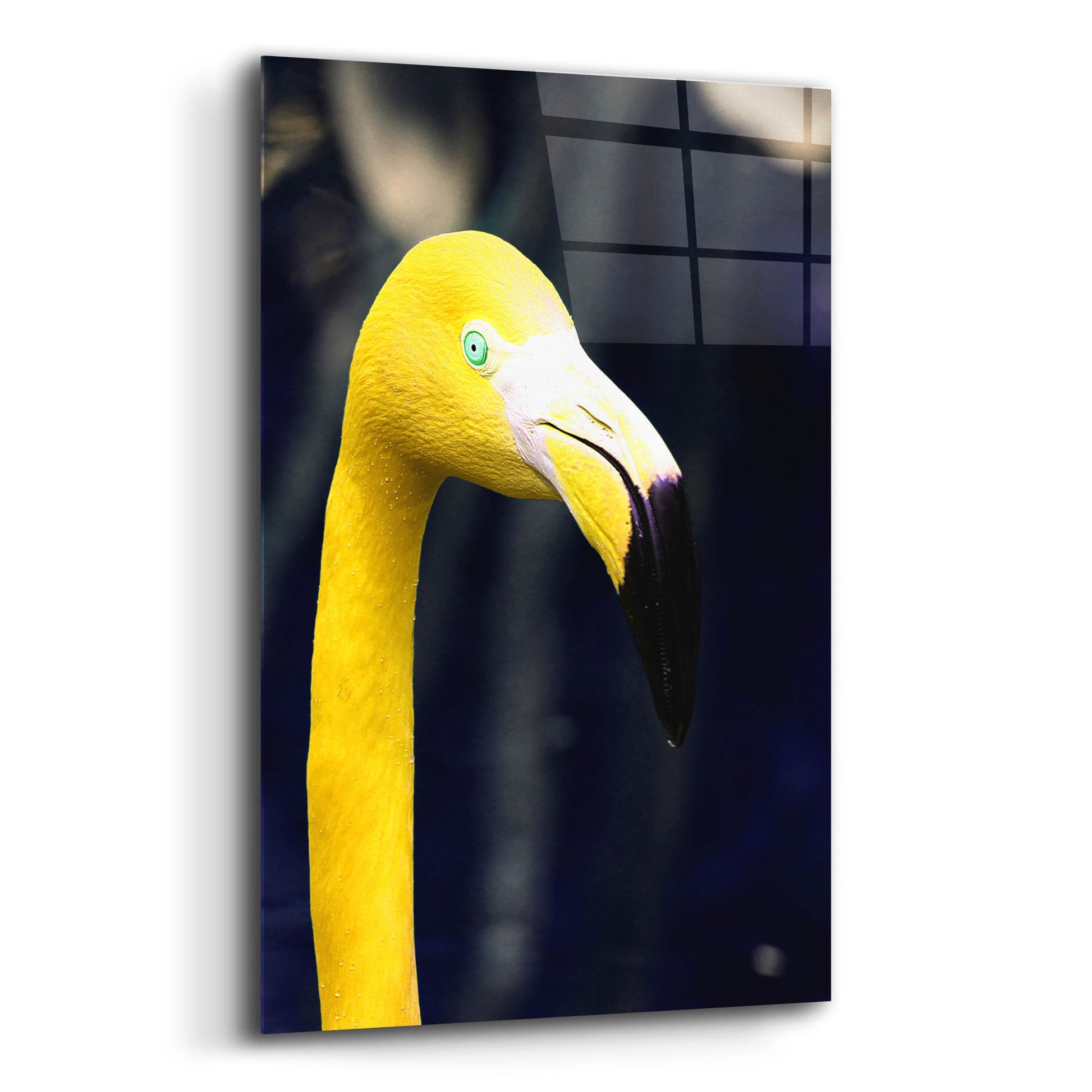 Epic Art 'Yellow Flamingo' by Dana Brett Munach, Acrylic Glass Wall Art,12x16