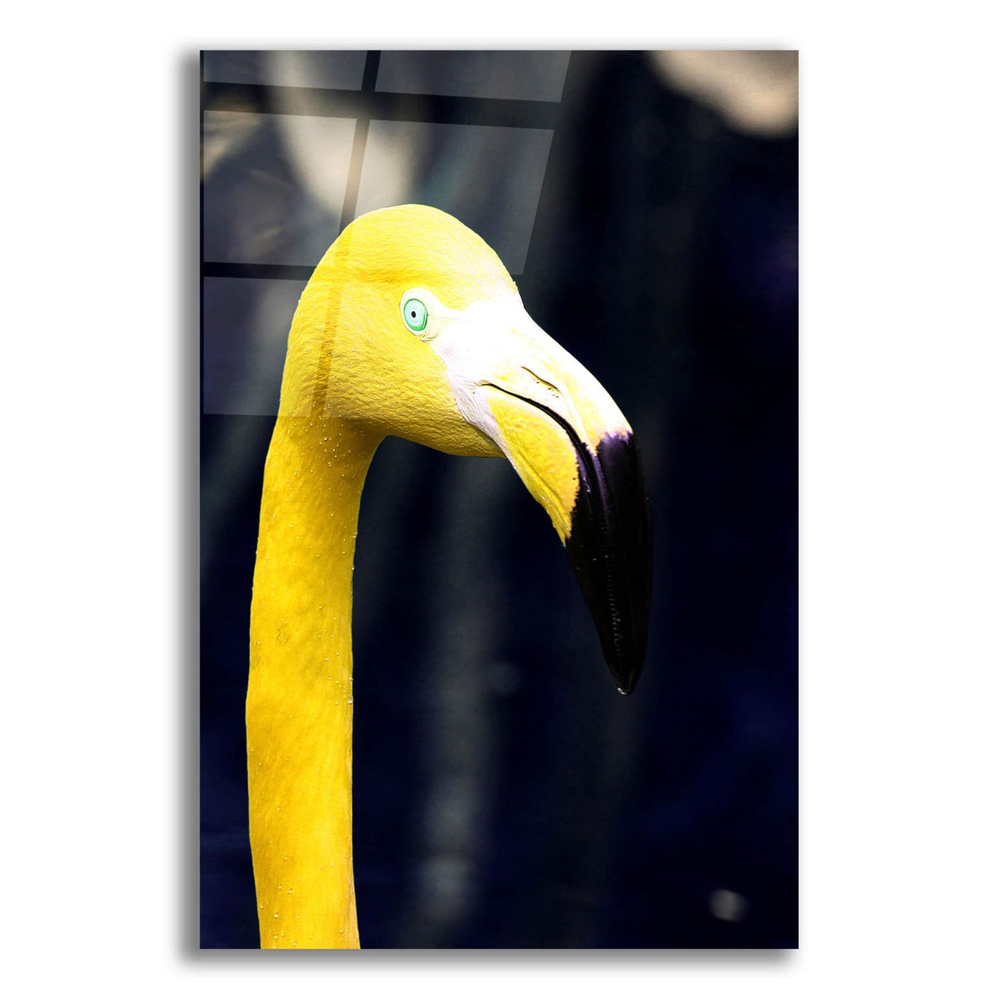 Epic Art 'Yellow Flamingo' by Dana Brett Munach, Acrylic Glass Wall Art,12x16