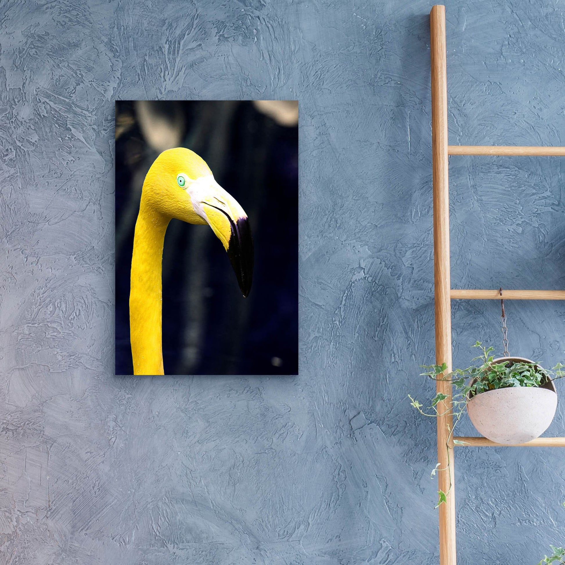 Epic Art 'Yellow Flamingo' by Dana Brett Munach, Acrylic Glass Wall Art,16x24