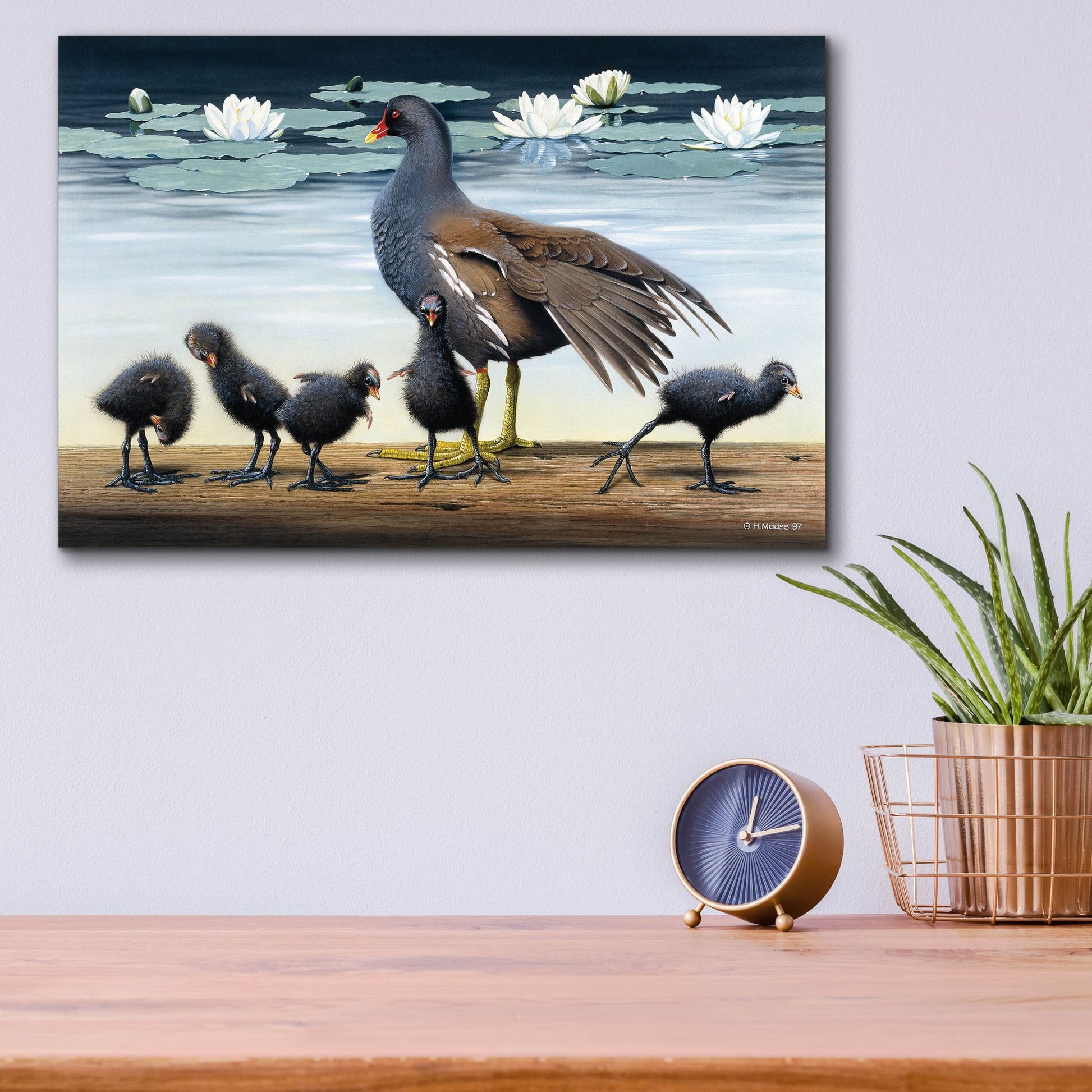 Epic Art 'Common Gallinule With Chicken And Water-Lilies' by Harro Maass, Acrylic Glass Wall Art,16x12