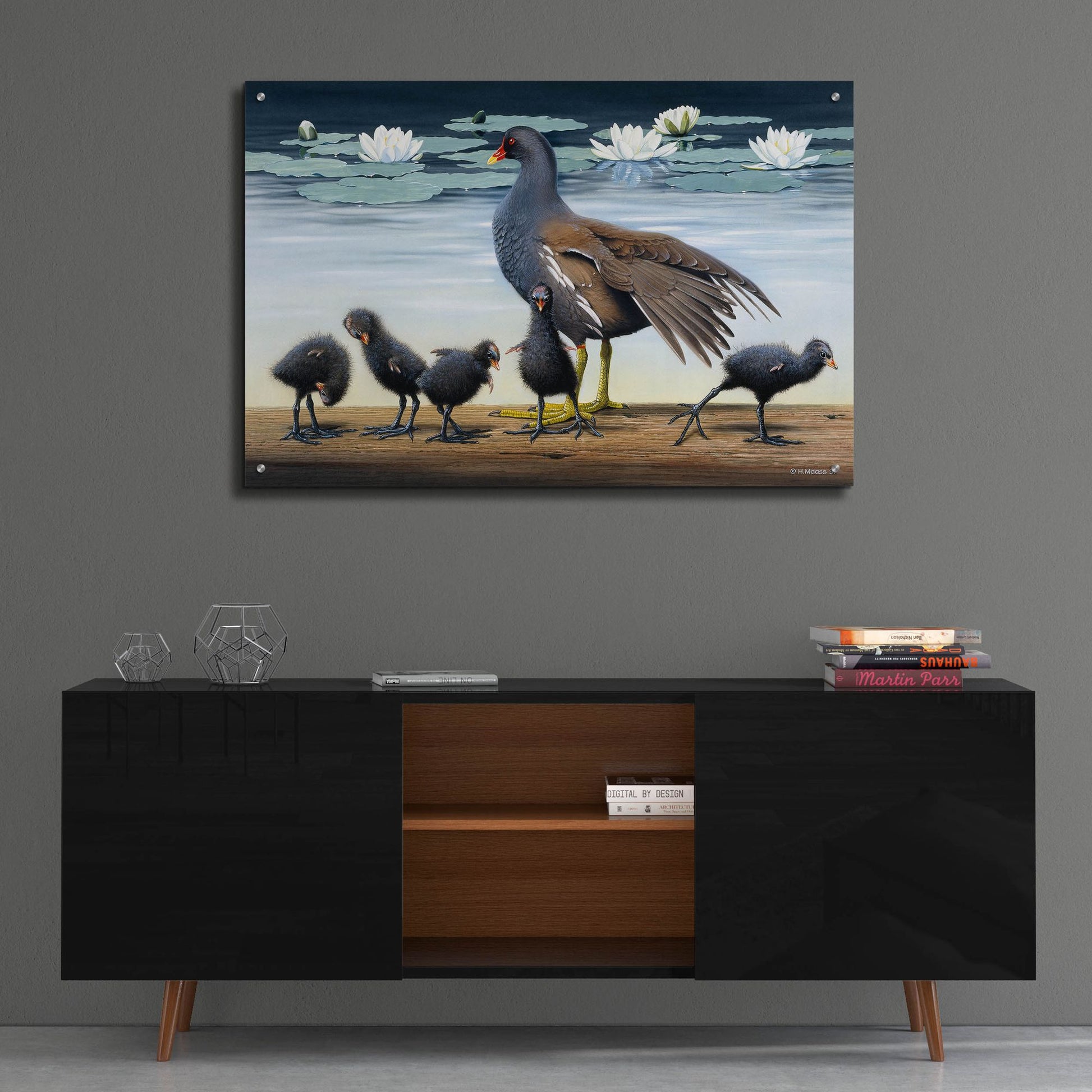 Epic Art 'Common Gallinule With Chicken And Water-Lilies' by Harro Maass, Acrylic Glass Wall Art,36x24