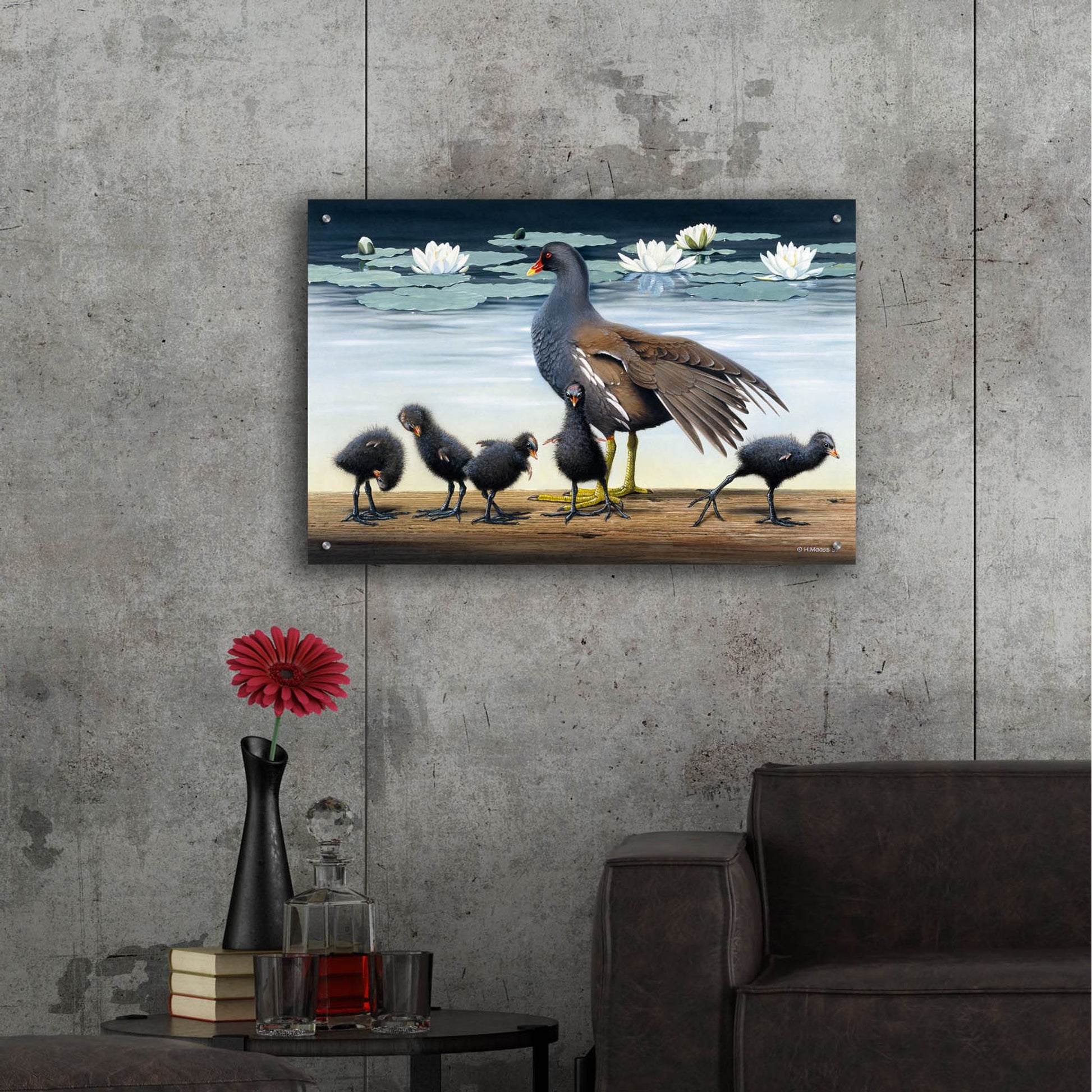 Epic Art 'Common Gallinule With Chicken And Water-Lilies' by Harro Maass, Acrylic Glass Wall Art,36x24