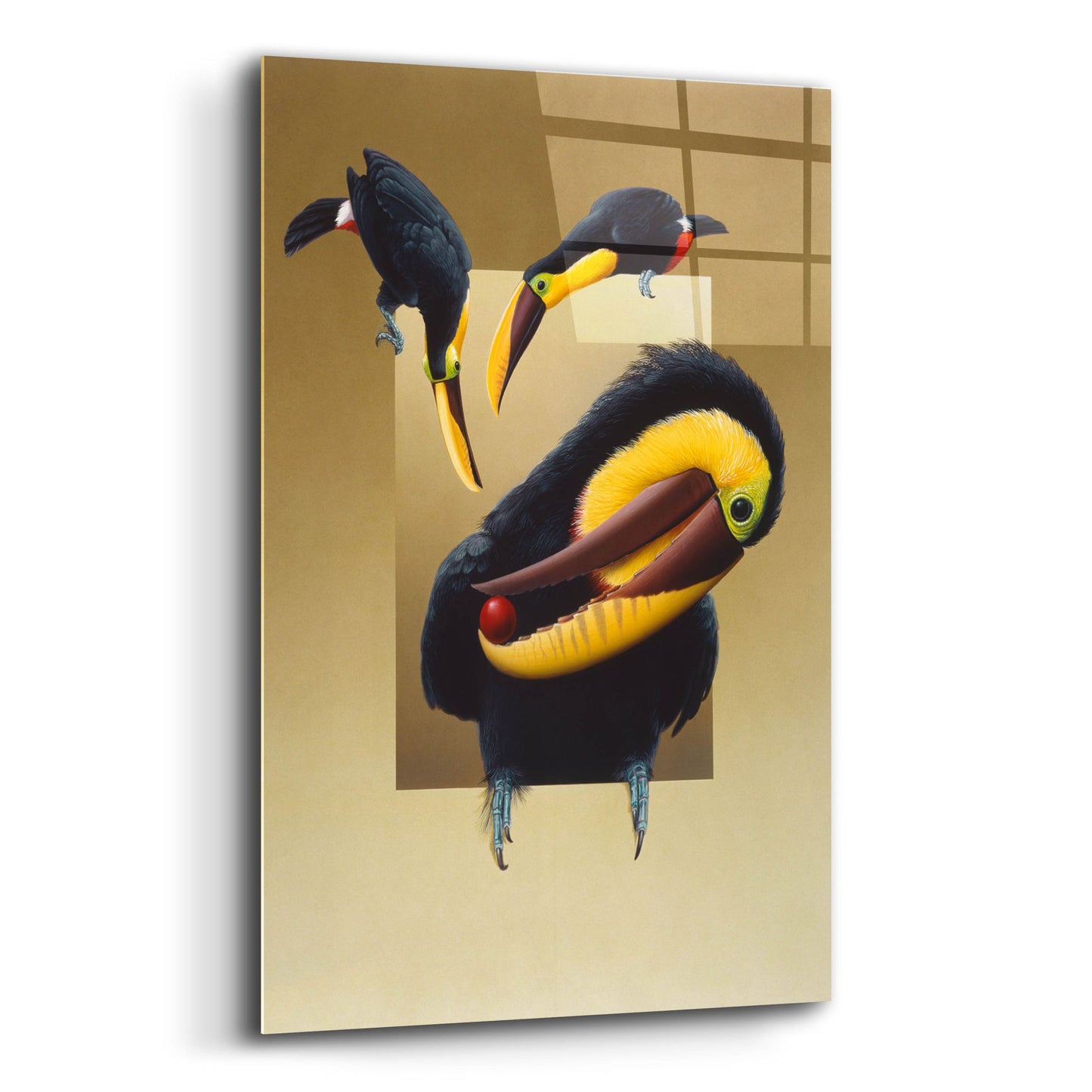 Epic Art 'Chestnut-Mandibled Toucans' by Harro Maass, Acrylic Glass Wall Art,12x16