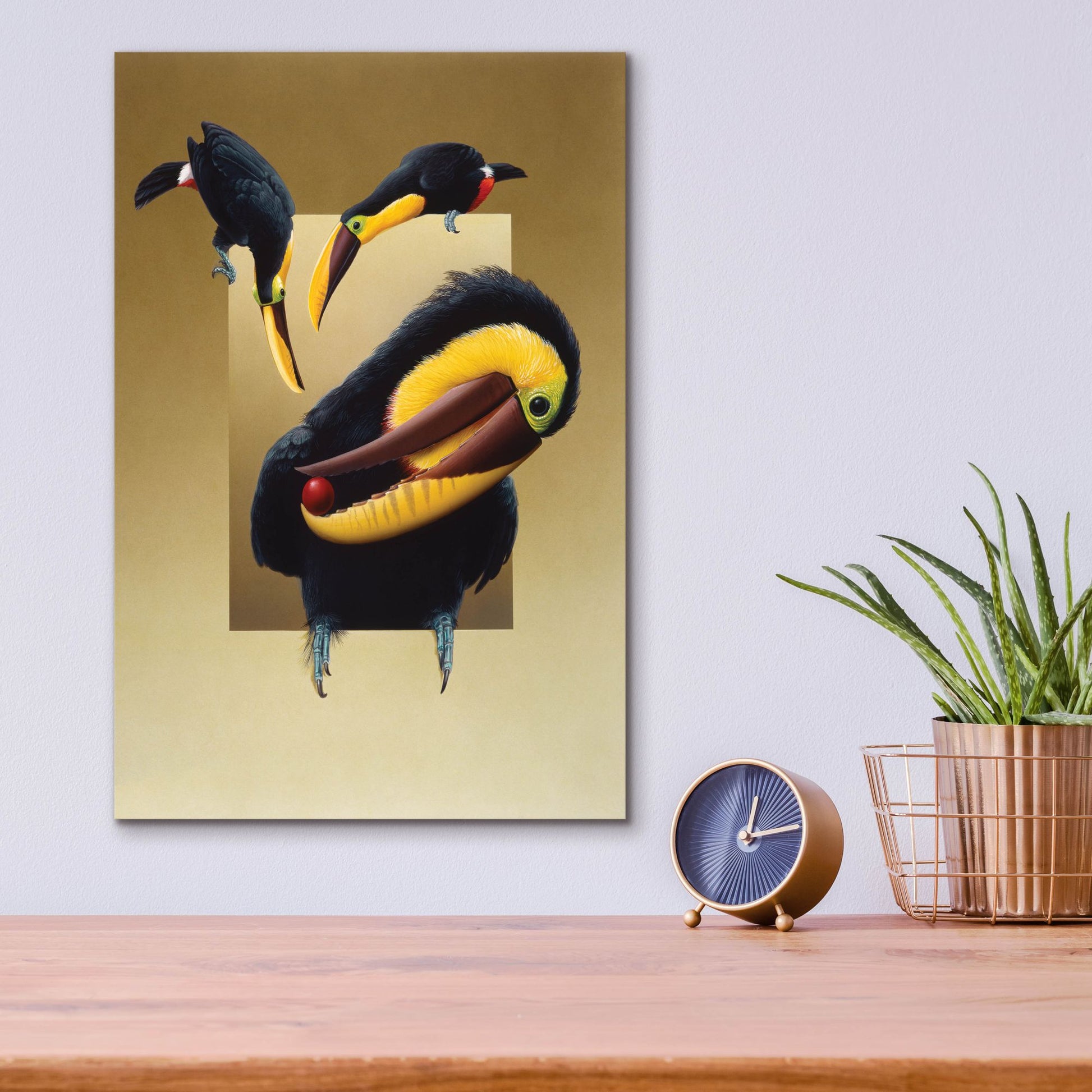 Epic Art 'Chestnut-Mandibled Toucans' by Harro Maass, Acrylic Glass Wall Art,12x16