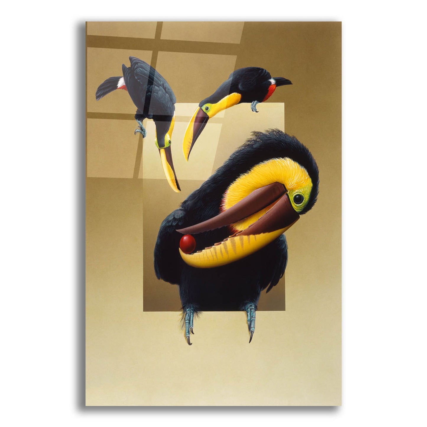 Epic Art 'Chestnut-Mandibled Toucans' by Harro Maass, Acrylic Glass Wall Art,12x16