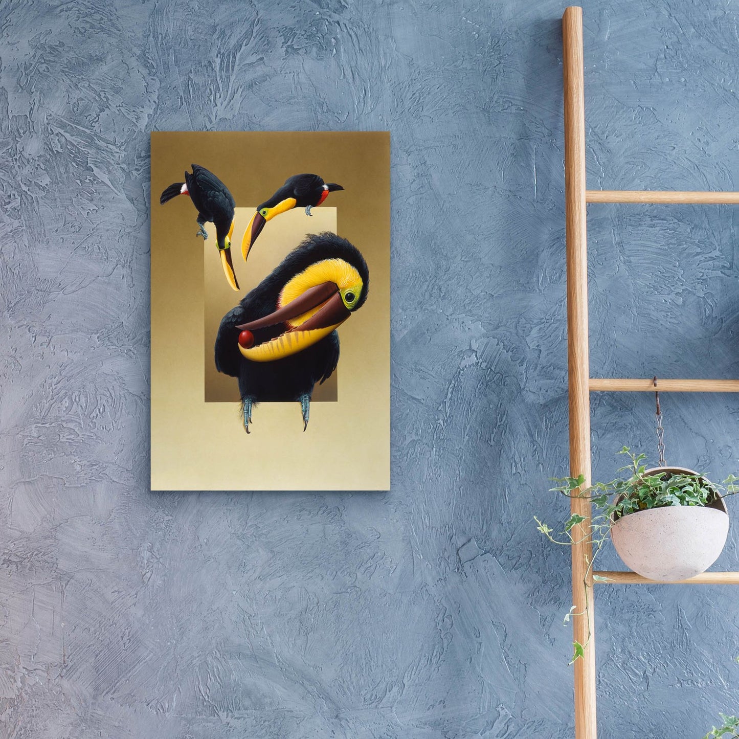 Epic Art 'Chestnut-Mandibled Toucans' by Harro Maass, Acrylic Glass Wall Art,16x24