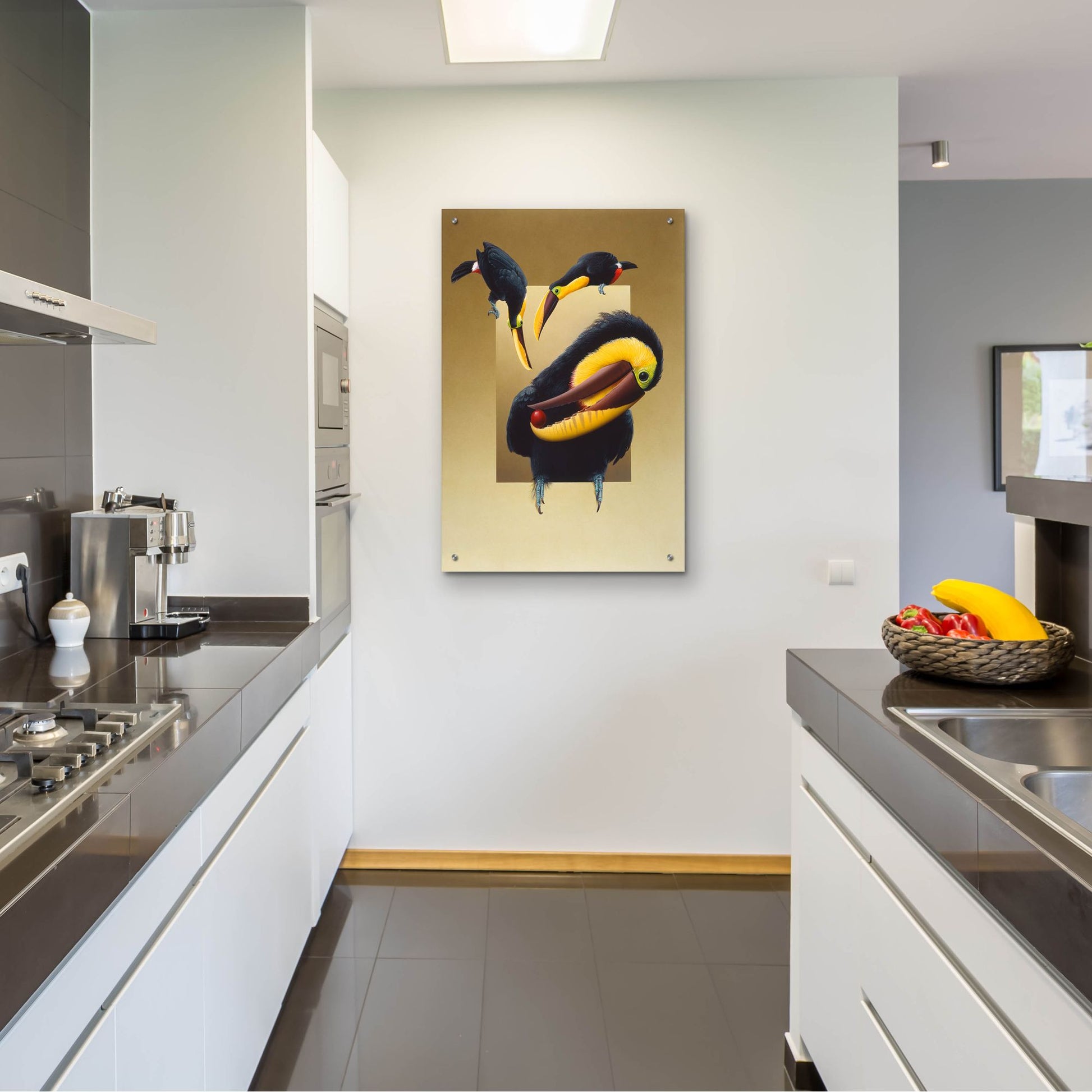 Epic Art 'Chestnut-Mandibled Toucans' by Harro Maass, Acrylic Glass Wall Art,24x36