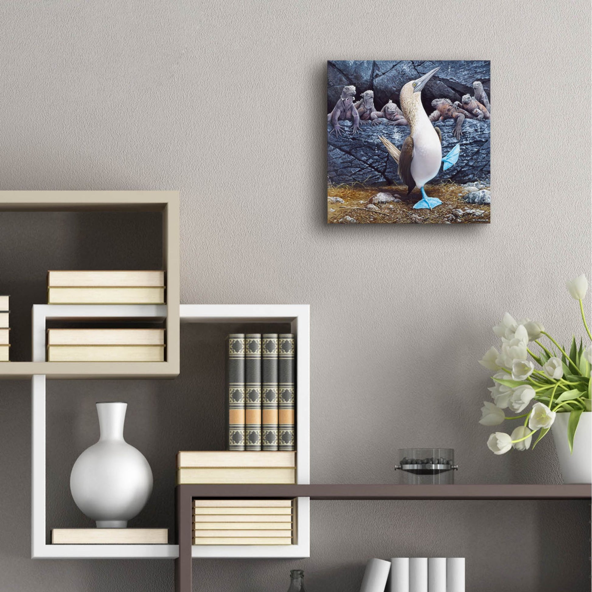 Epic Art 'Blue Footed Boobies' by Harro Maass, Acrylic Glass Wall Art,12x12