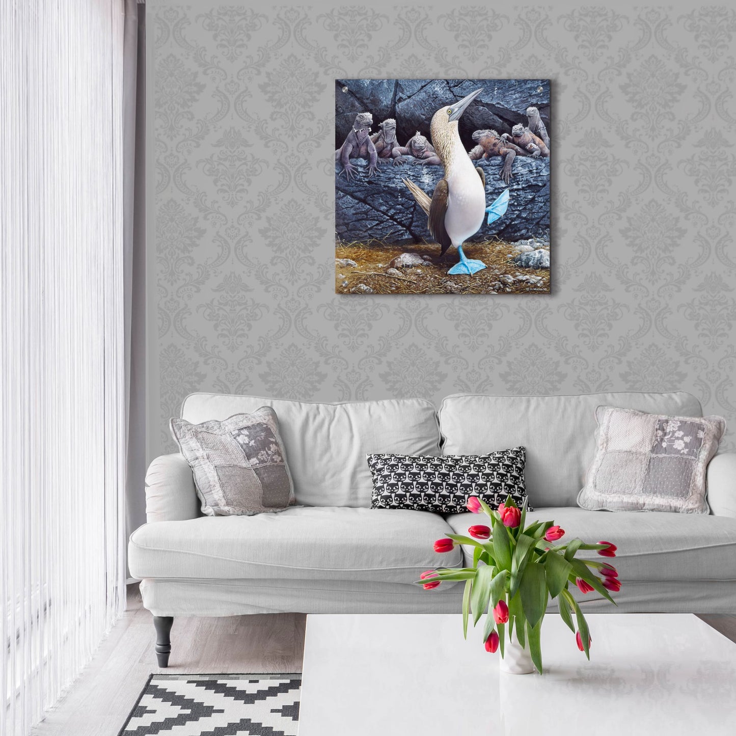 Epic Art 'Blue Footed Boobies' by Harro Maass, Acrylic Glass Wall Art,24x24