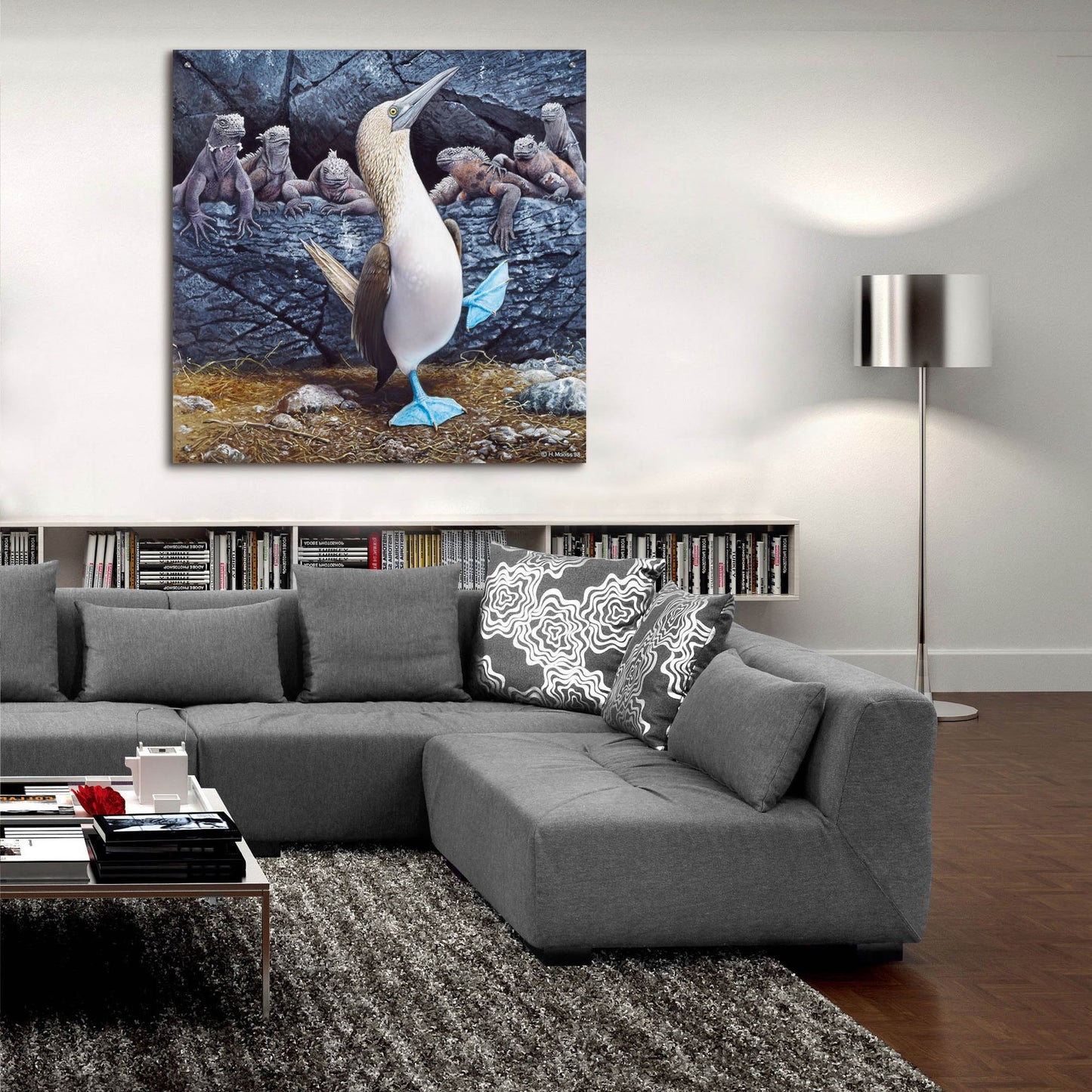 Epic Art 'Blue Footed Boobies' by Harro Maass, Acrylic Glass Wall Art,36x36