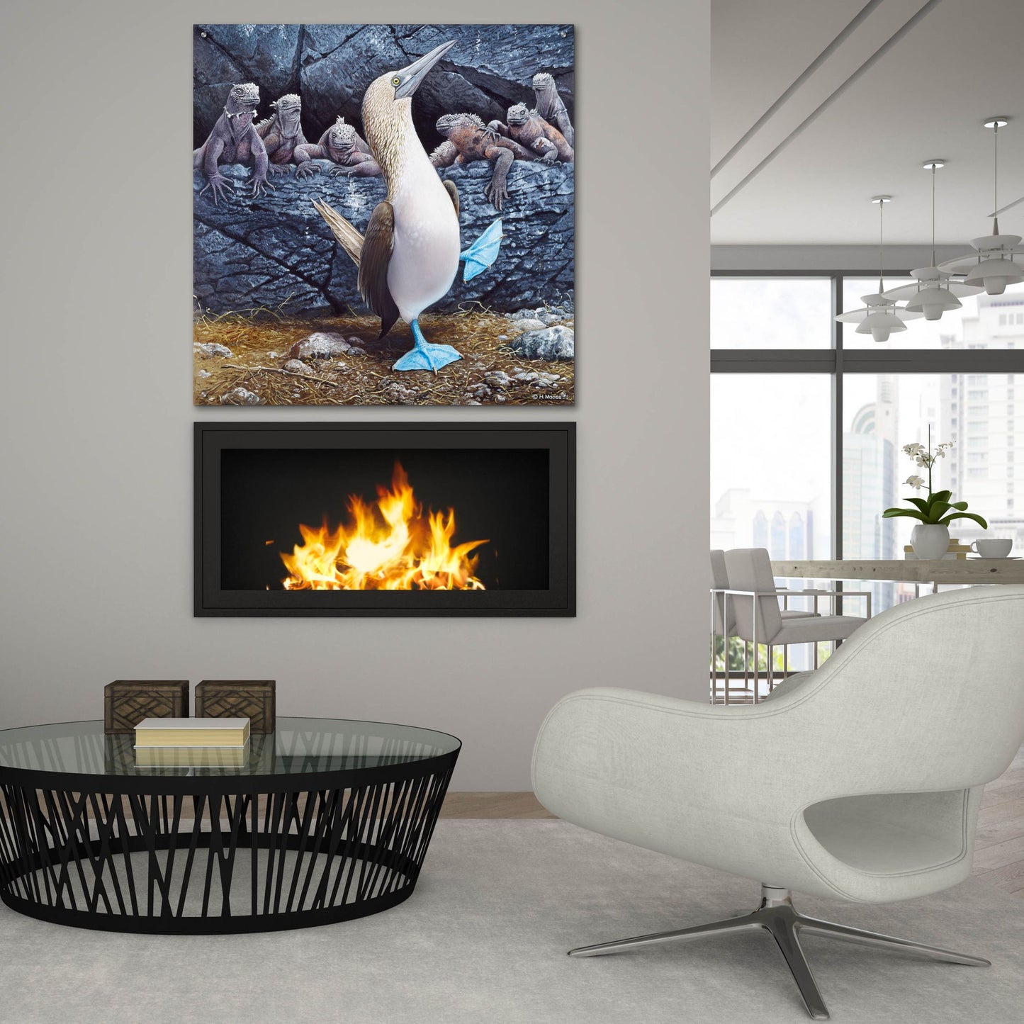 Epic Art 'Blue Footed Boobies' by Harro Maass, Acrylic Glass Wall Art,36x36