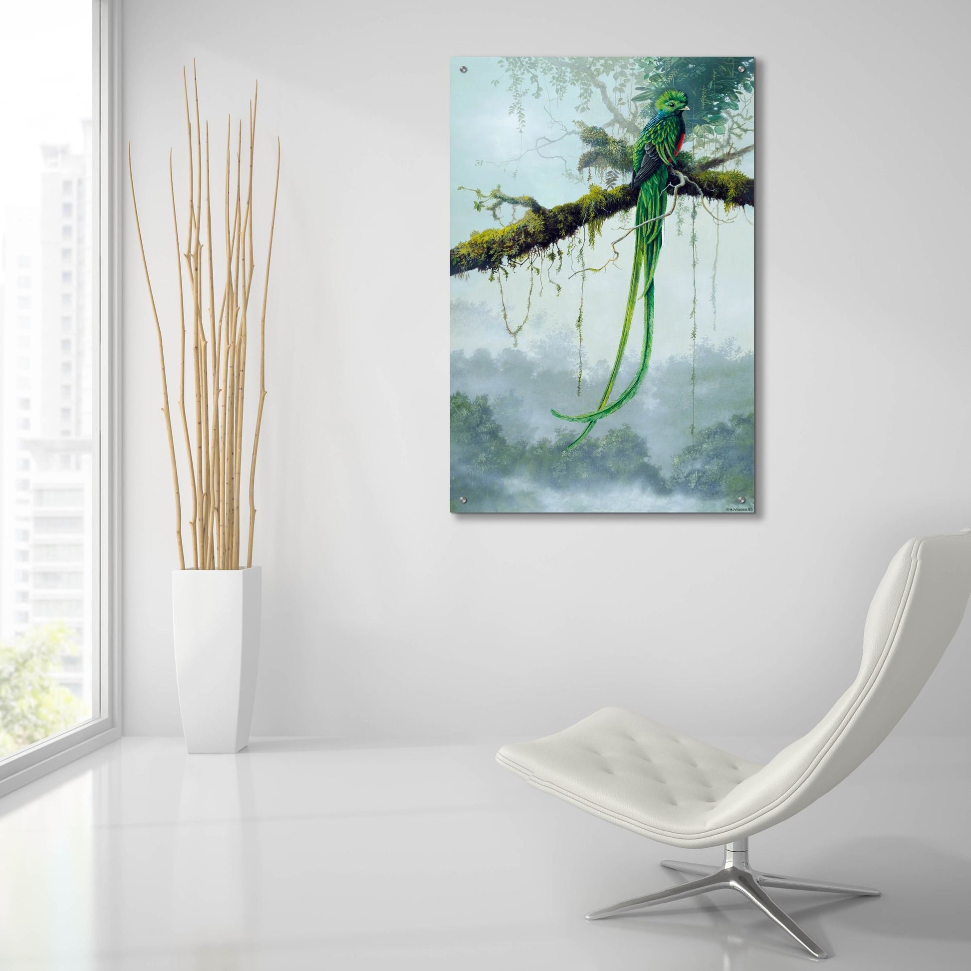 Epic Art 'Resplendent Quetzal' by Harro Maass, Acrylic Glass Wall Art,24x36