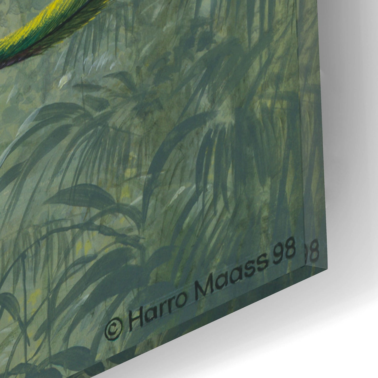 Epic Art 'Resplendent Quetzal 2' by Harro Maass, Acrylic Glass Wall Art,12x16