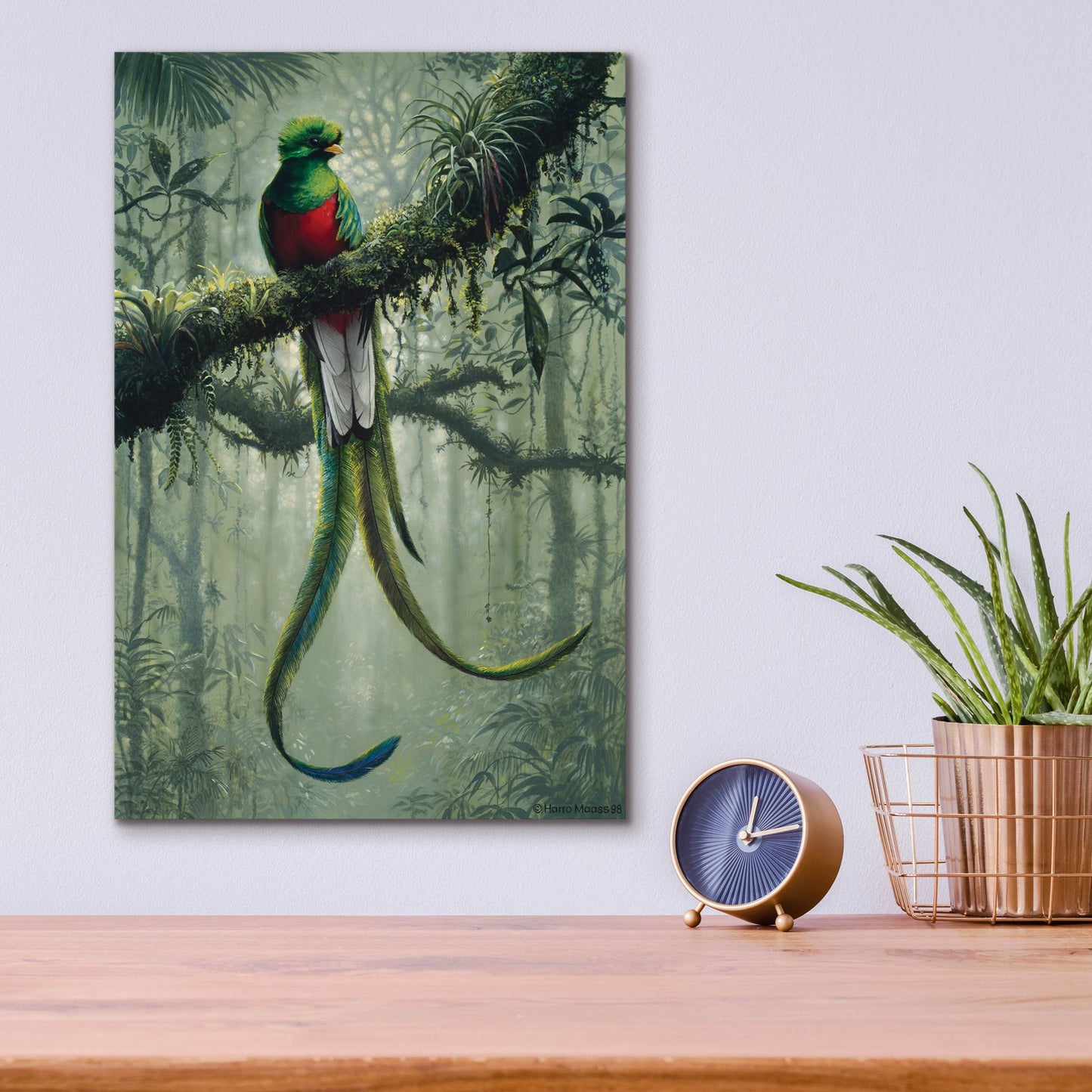 Epic Art 'Resplendent Quetzal 2' by Harro Maass, Acrylic Glass Wall Art,12x16