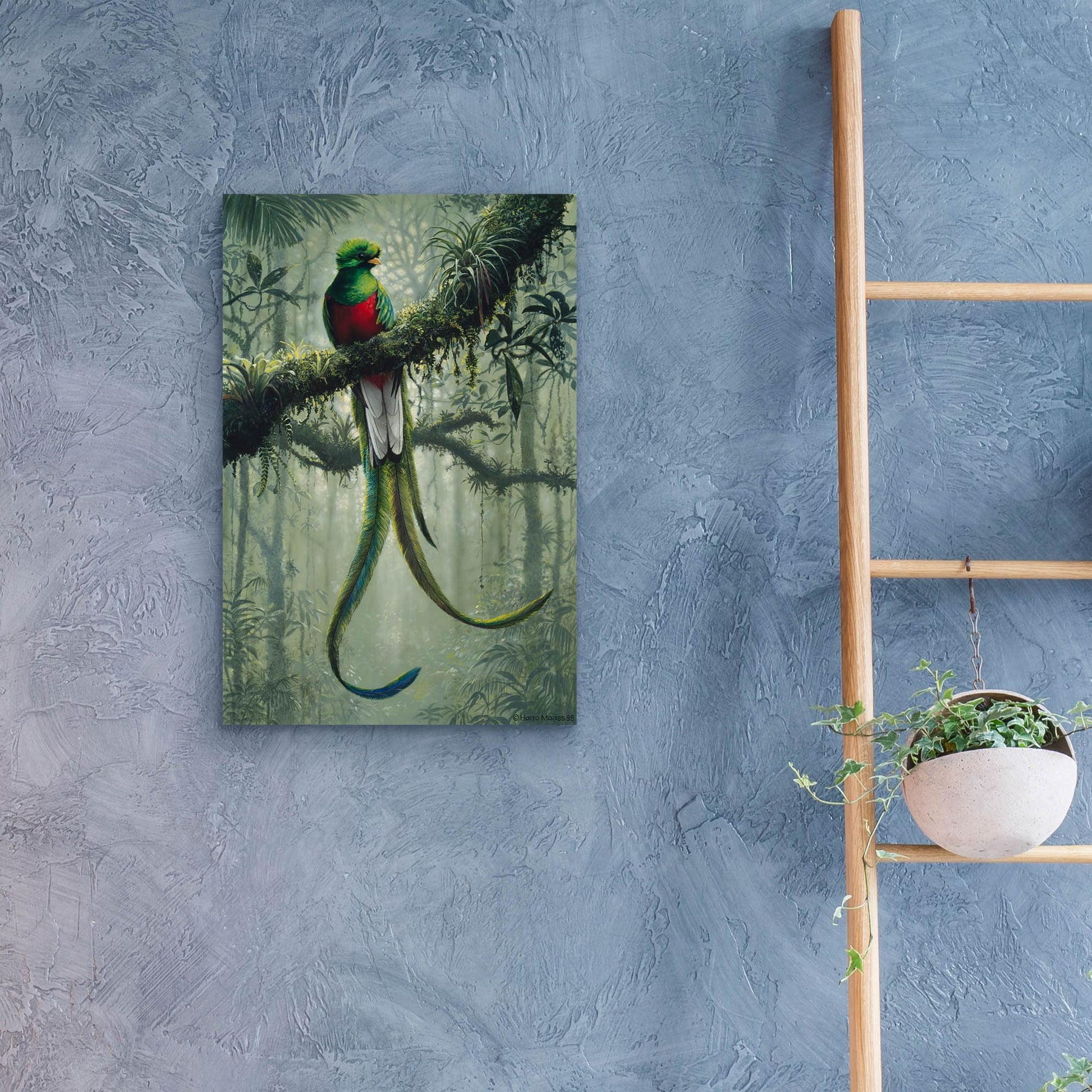 Epic Art 'Resplendent Quetzal 2' by Harro Maass, Acrylic Glass Wall Art,16x24