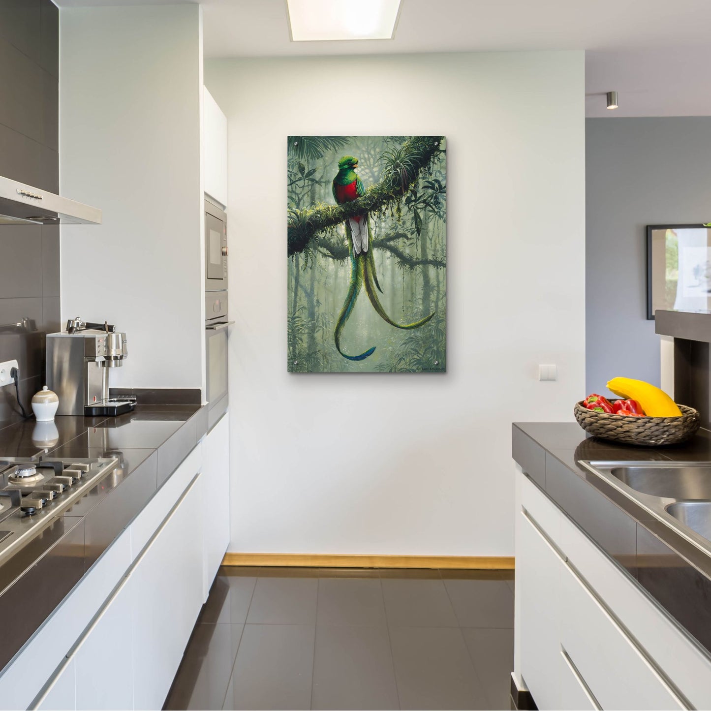 Epic Art 'Resplendent Quetzal 2' by Harro Maass, Acrylic Glass Wall Art,24x36