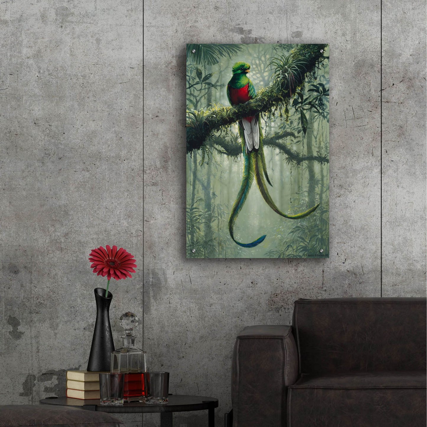 Epic Art 'Resplendent Quetzal 2' by Harro Maass, Acrylic Glass Wall Art,24x36