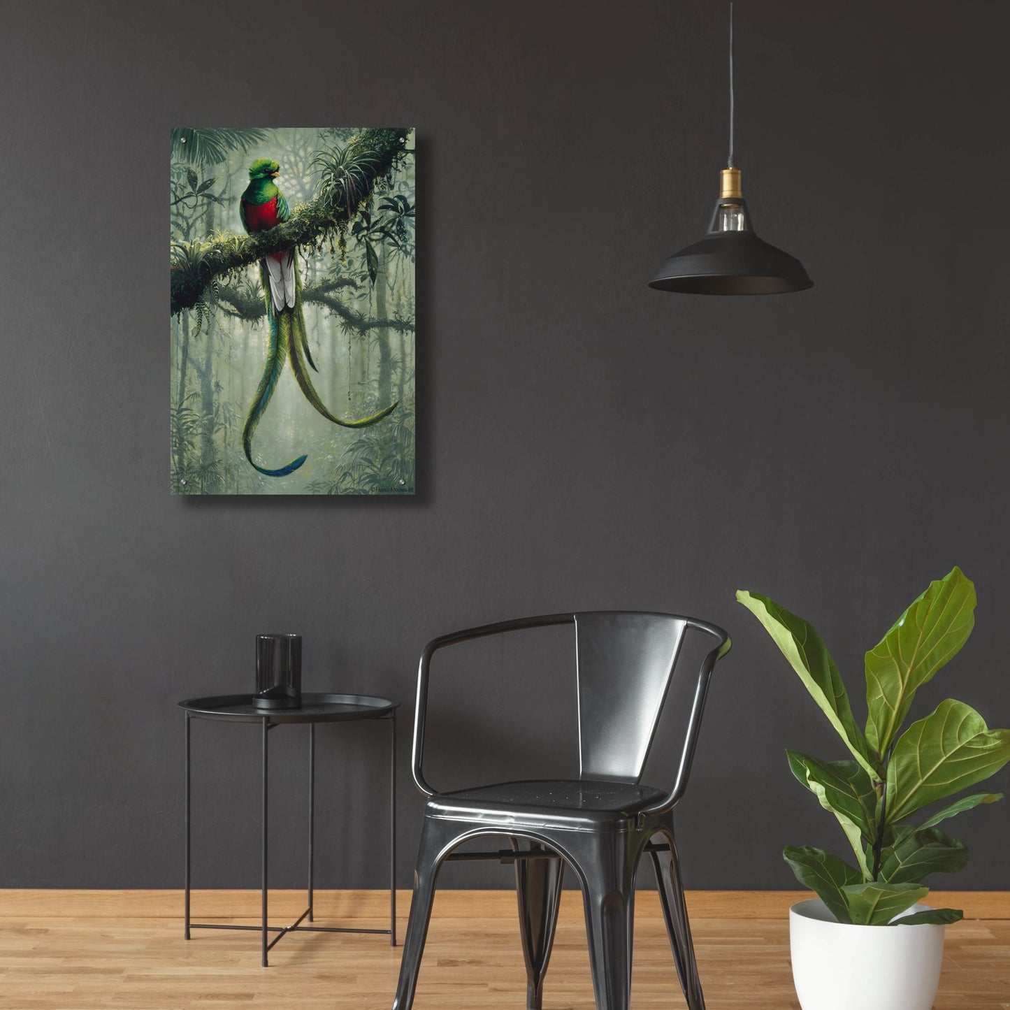 Epic Art 'Resplendent Quetzal 2' by Harro Maass, Acrylic Glass Wall Art,24x36