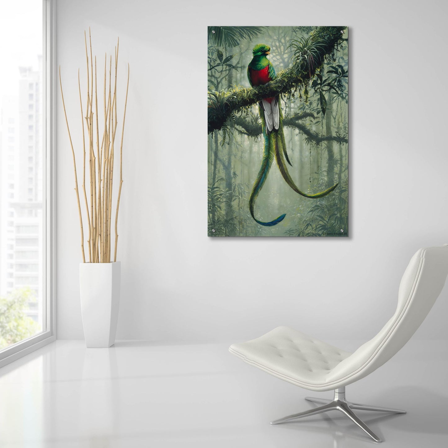 Epic Art 'Resplendent Quetzal 2' by Harro Maass, Acrylic Glass Wall Art,24x36