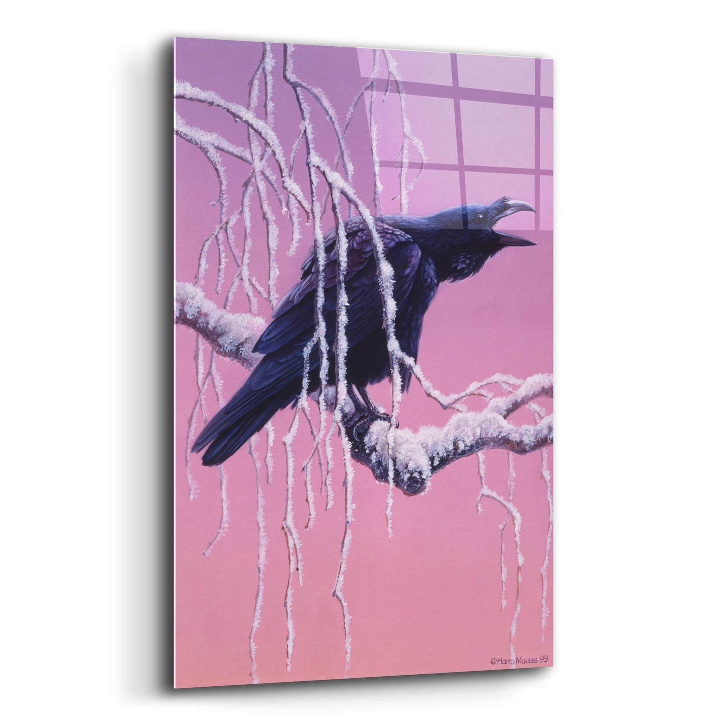 Epic Art 'Raven' by Harro Maass, Acrylic Glass Wall Art,12x16