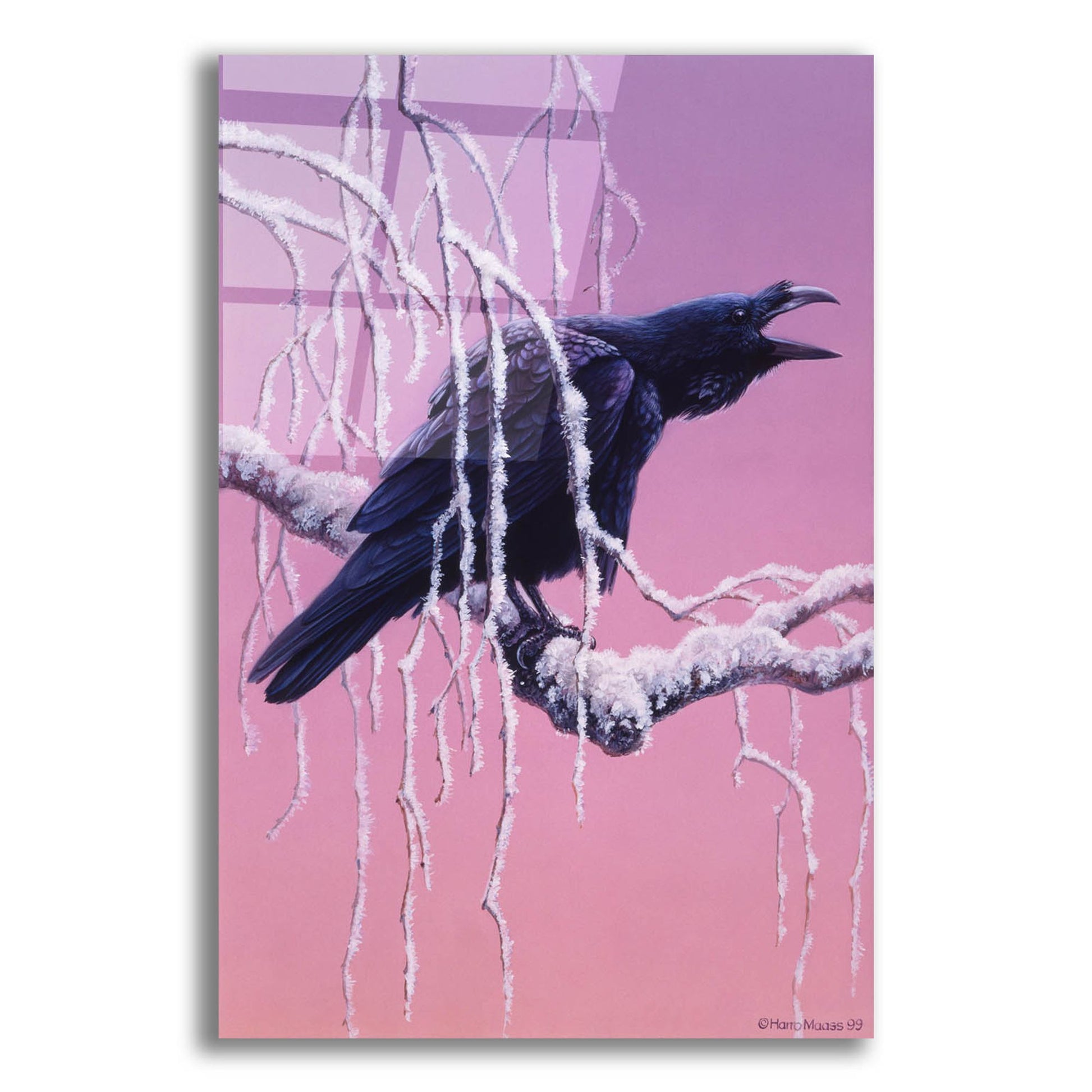 Epic Art 'Raven' by Harro Maass, Acrylic Glass Wall Art,12x16