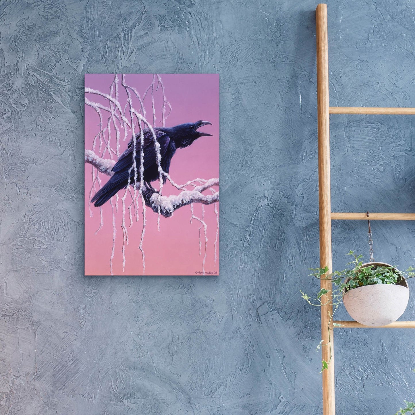 Epic Art 'Raven' by Harro Maass, Acrylic Glass Wall Art,16x24